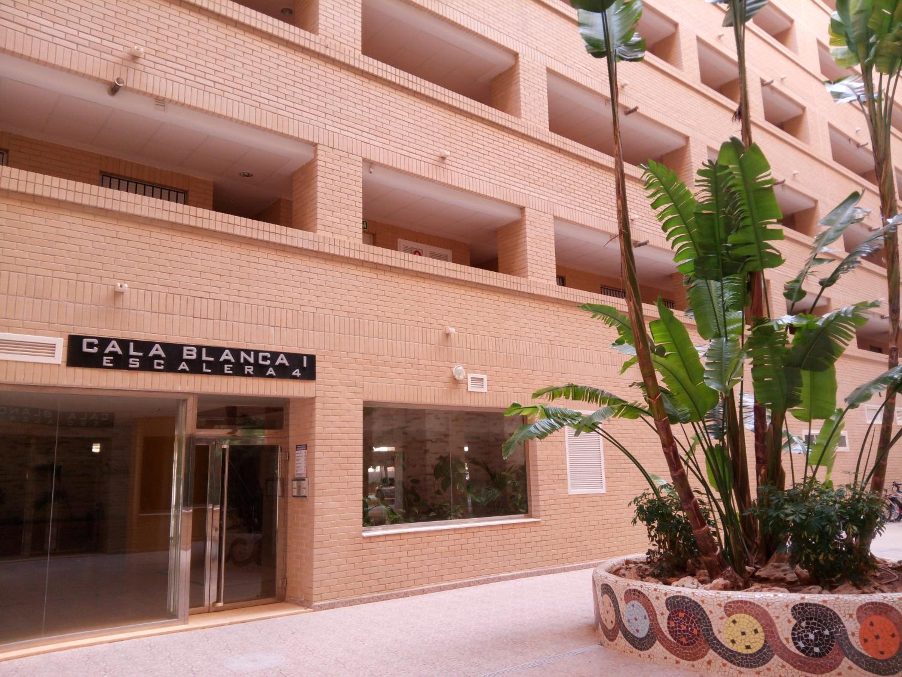 Apartment with Sea View photo 2