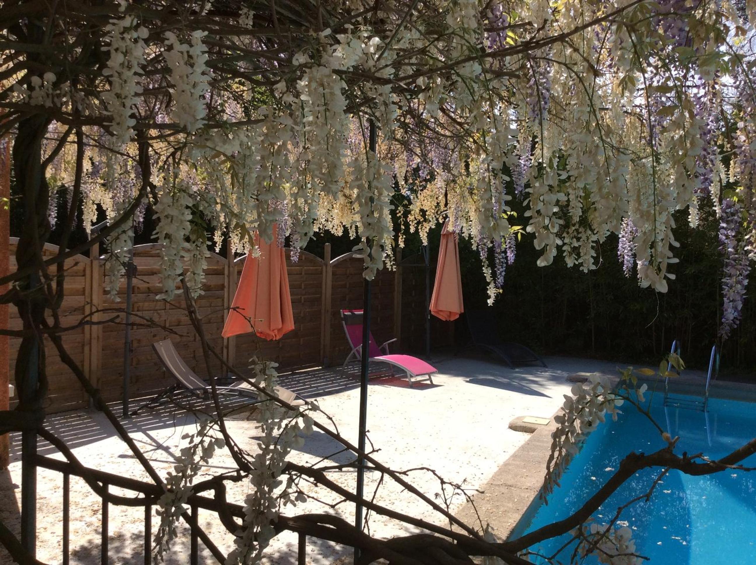 Triple Room with Garden View photo 2