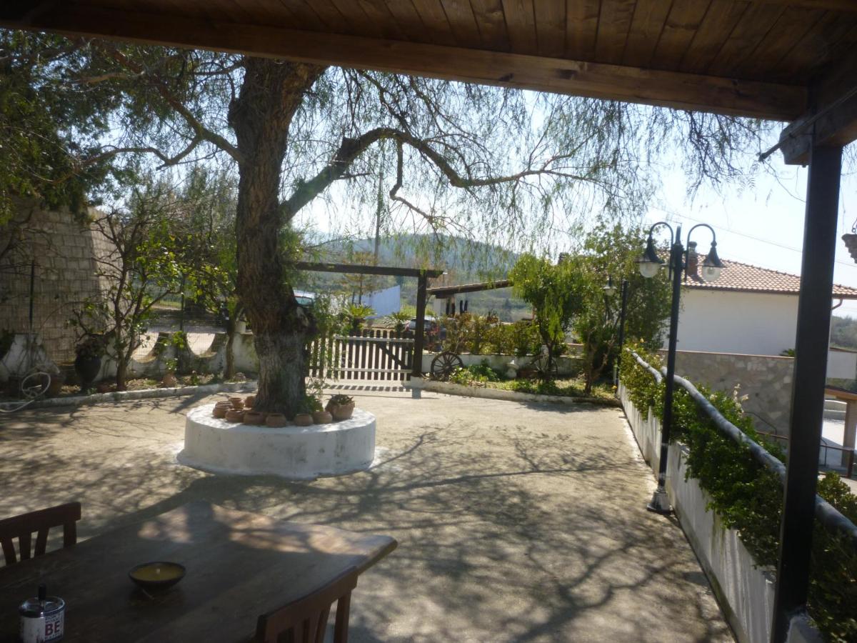 Holiday Home photo 3