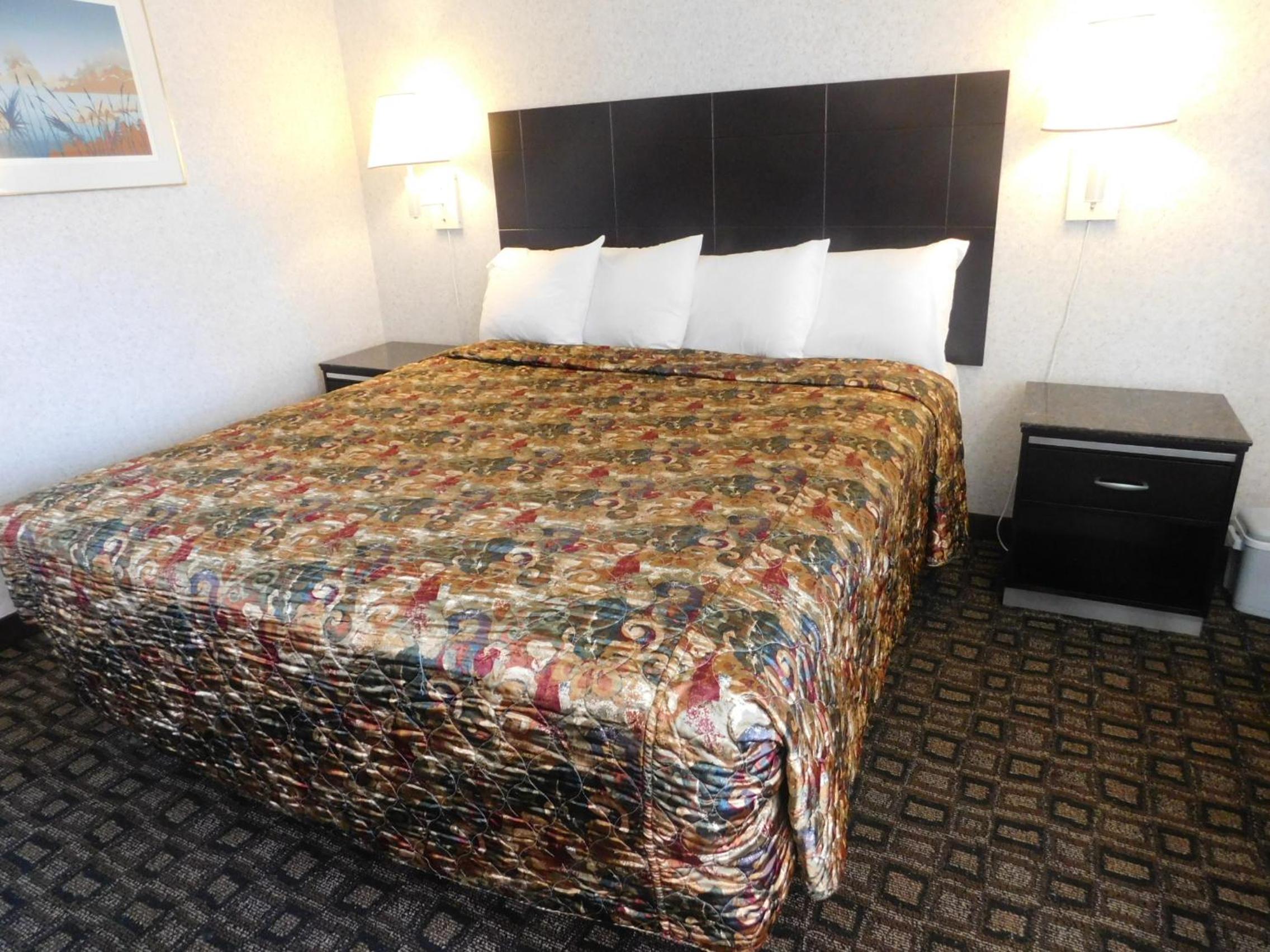 King Room photo 1