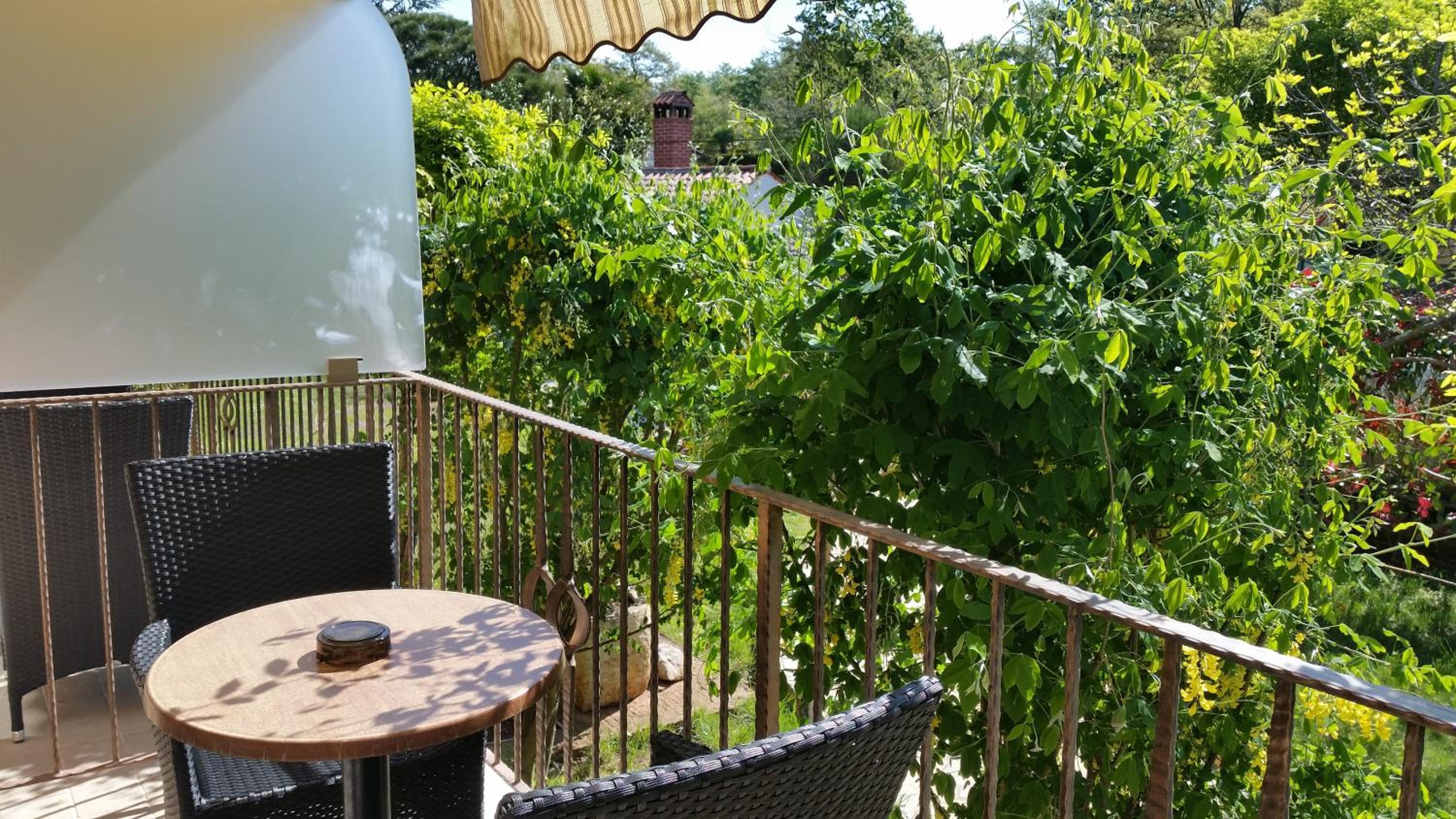 Double Room with Park View photo 3