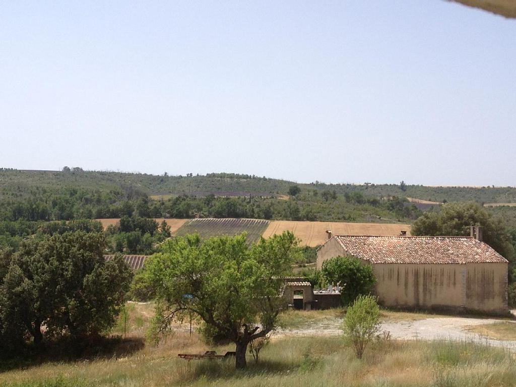 Holiday Home photo 1
