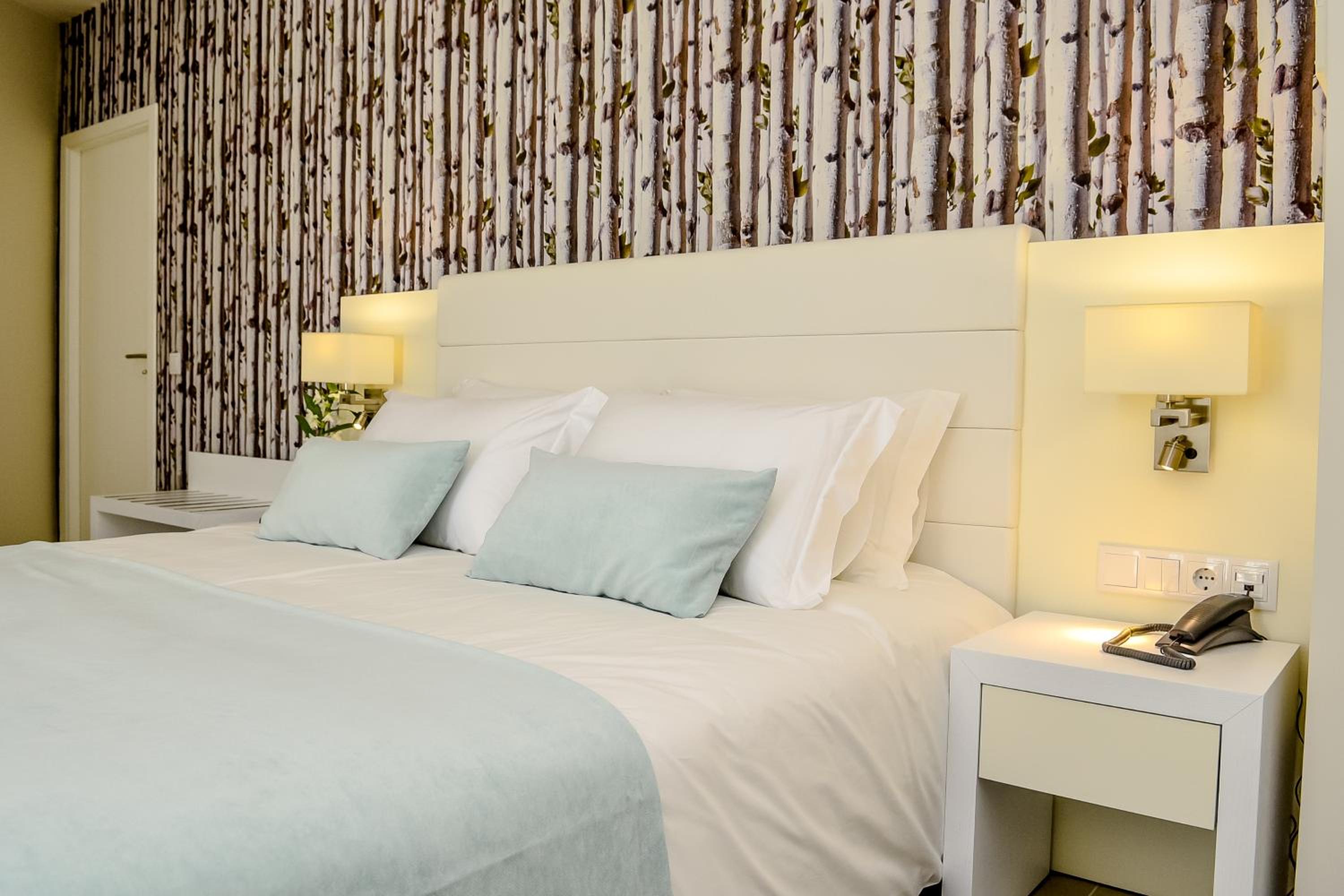 Large Double or Twin Room photo 3