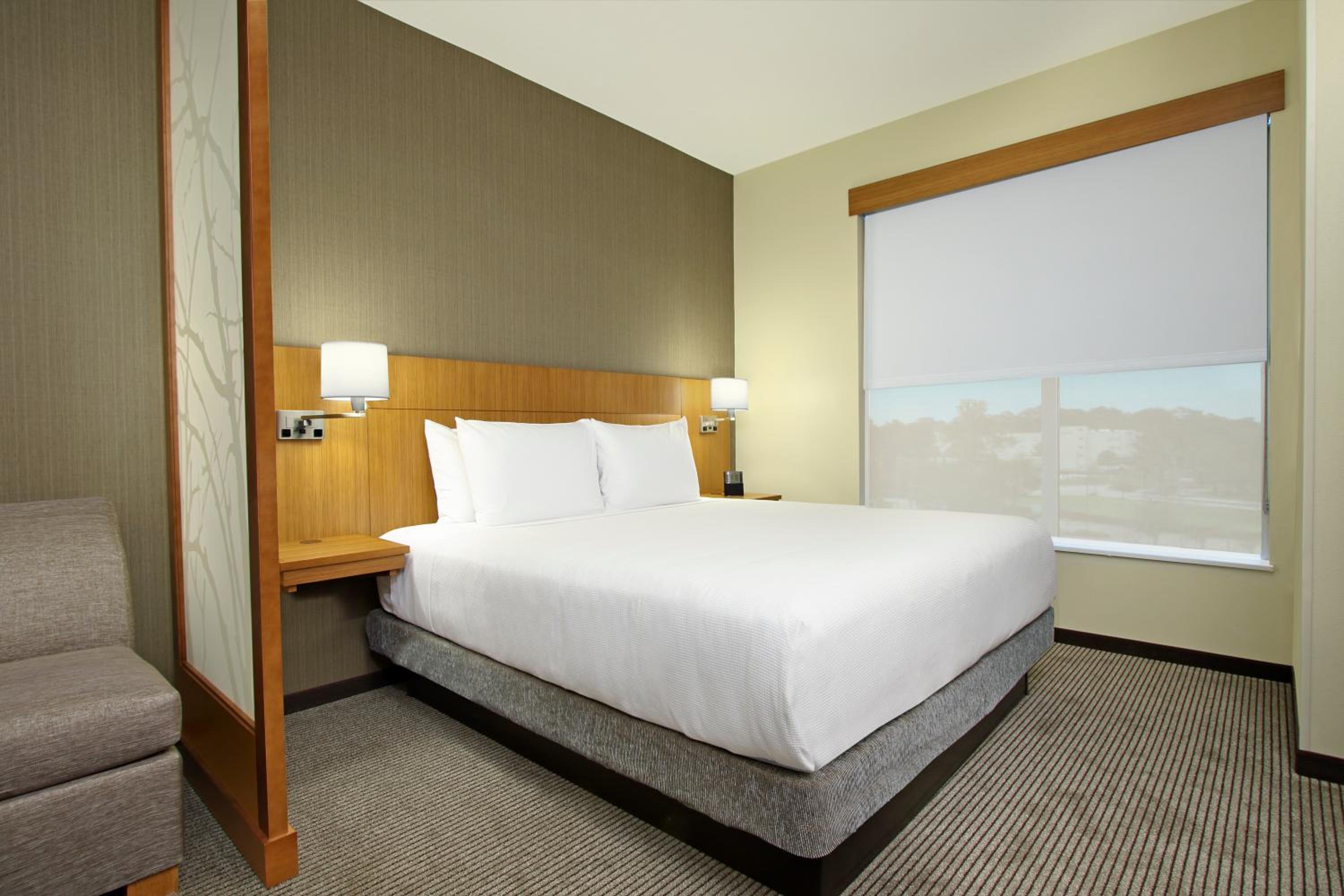 King Room with Sofa Bed and Roll-In Shower - Disability Access photo 2