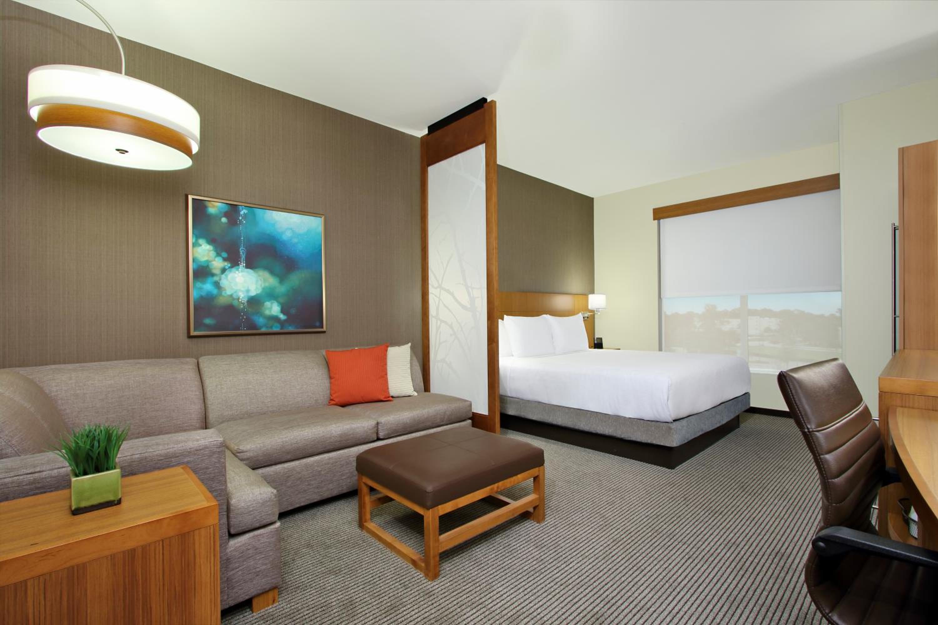King Room with Sofa Bed and Roll-In Shower - Disability Access photo 3