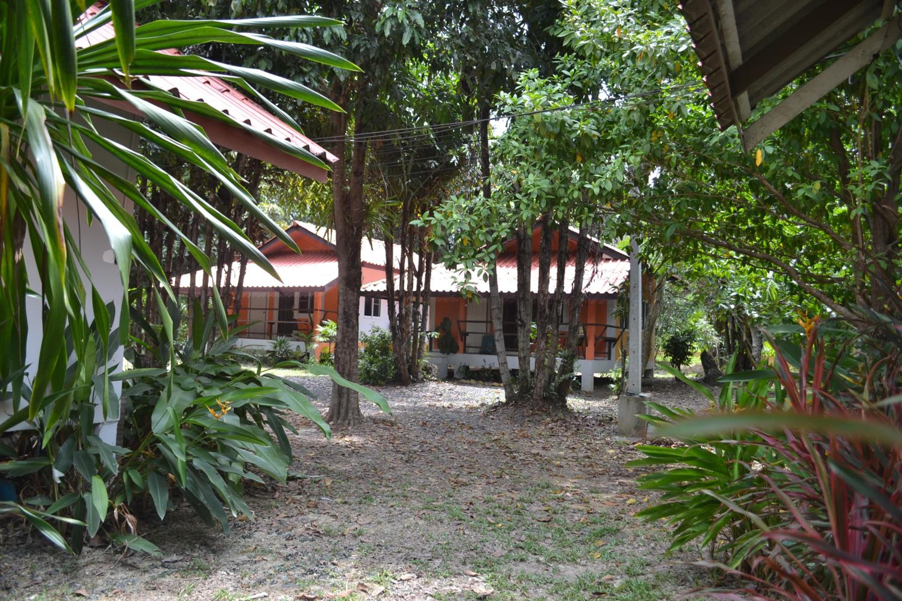 Deluxe Bungalow photo 3