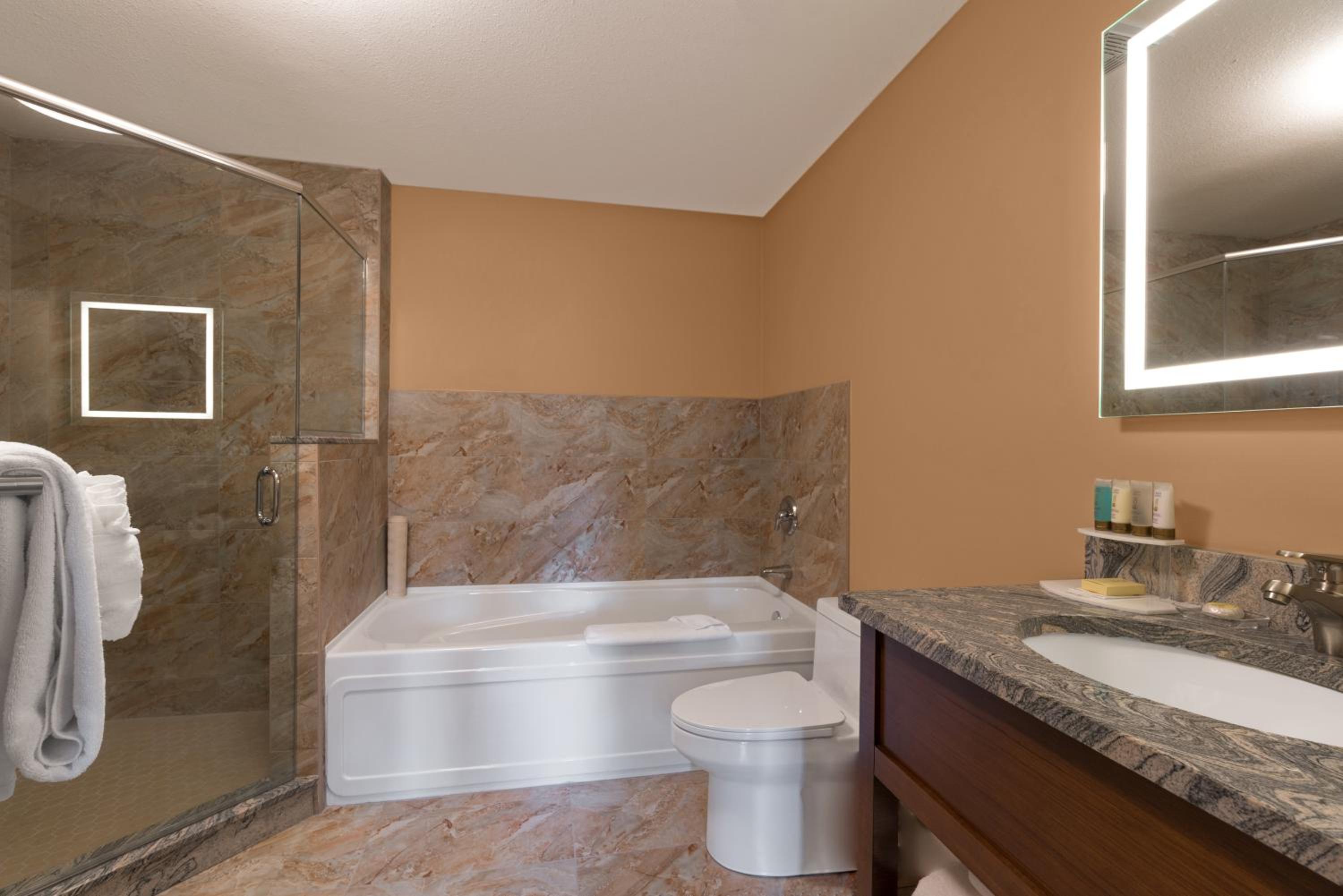 Two-Bedroom Suite - Photo 8