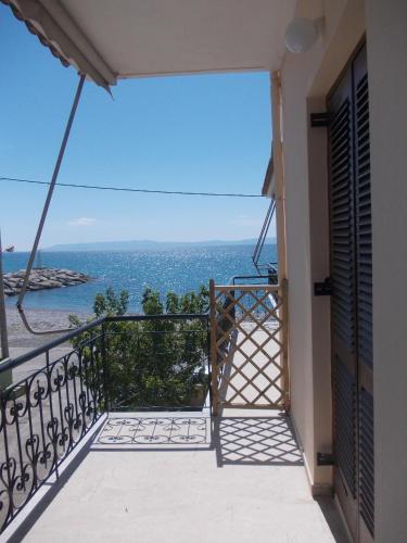 Apartment with Terrace photo 1