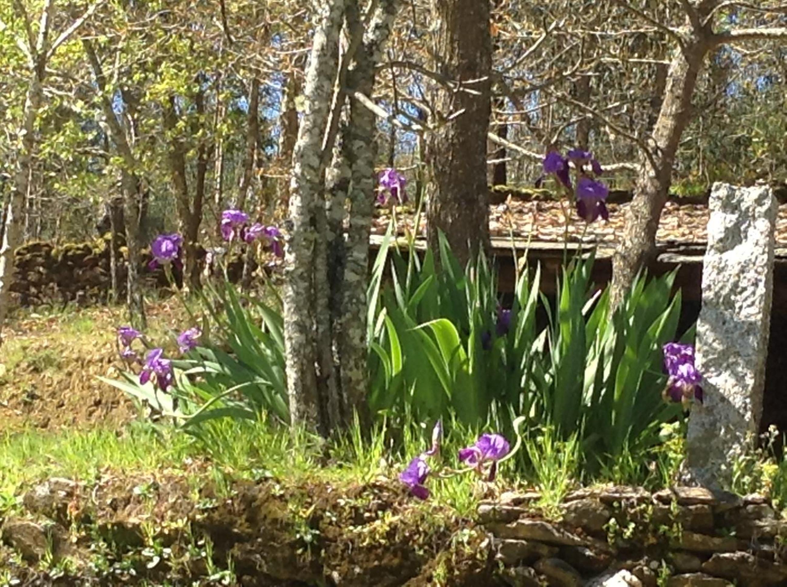 Vacation Home - Photo 33