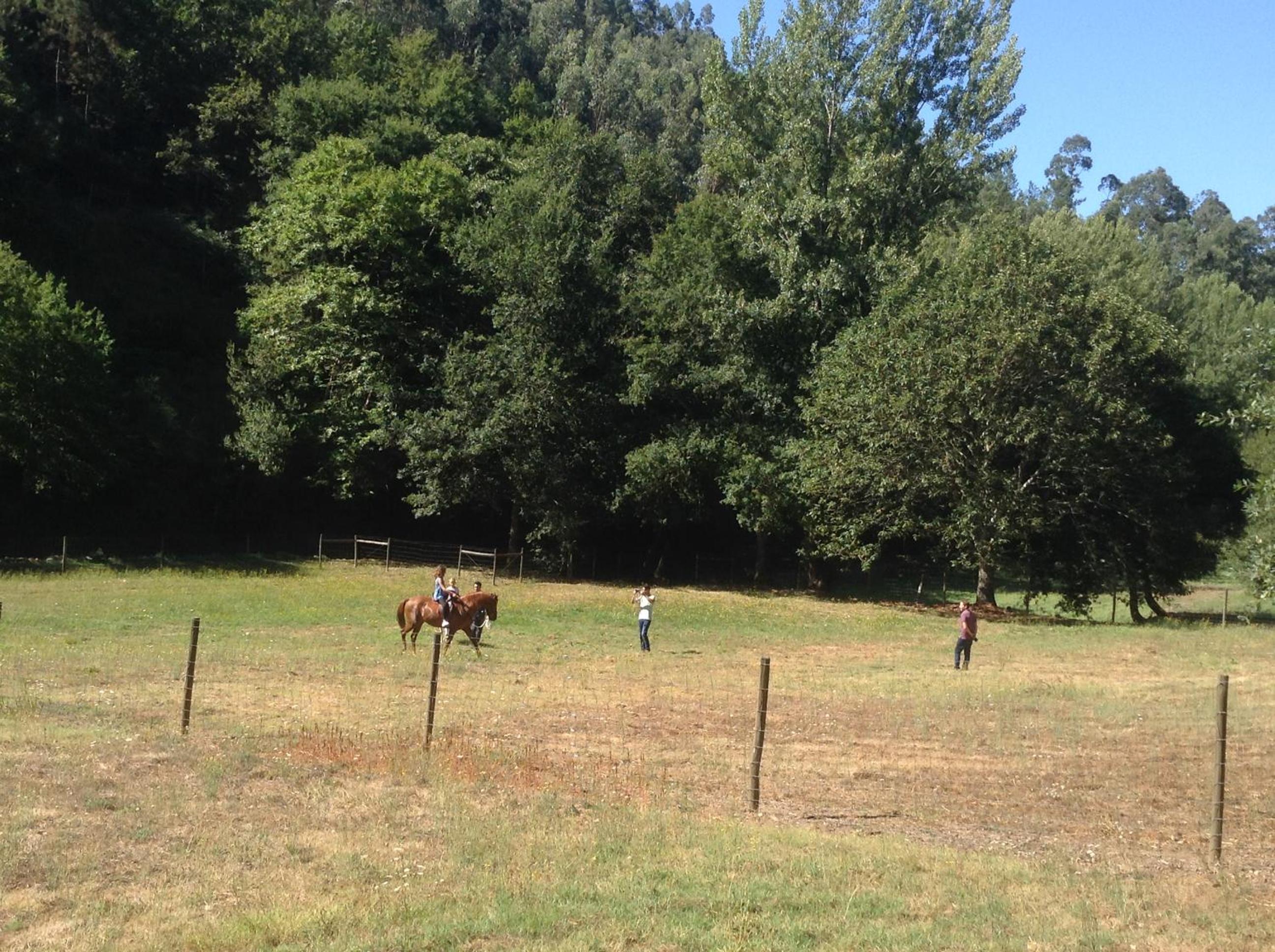 Vacation Home - Photo 30