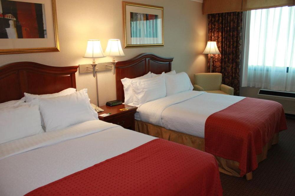 Quadruple Room - Disability Access - Photo 3