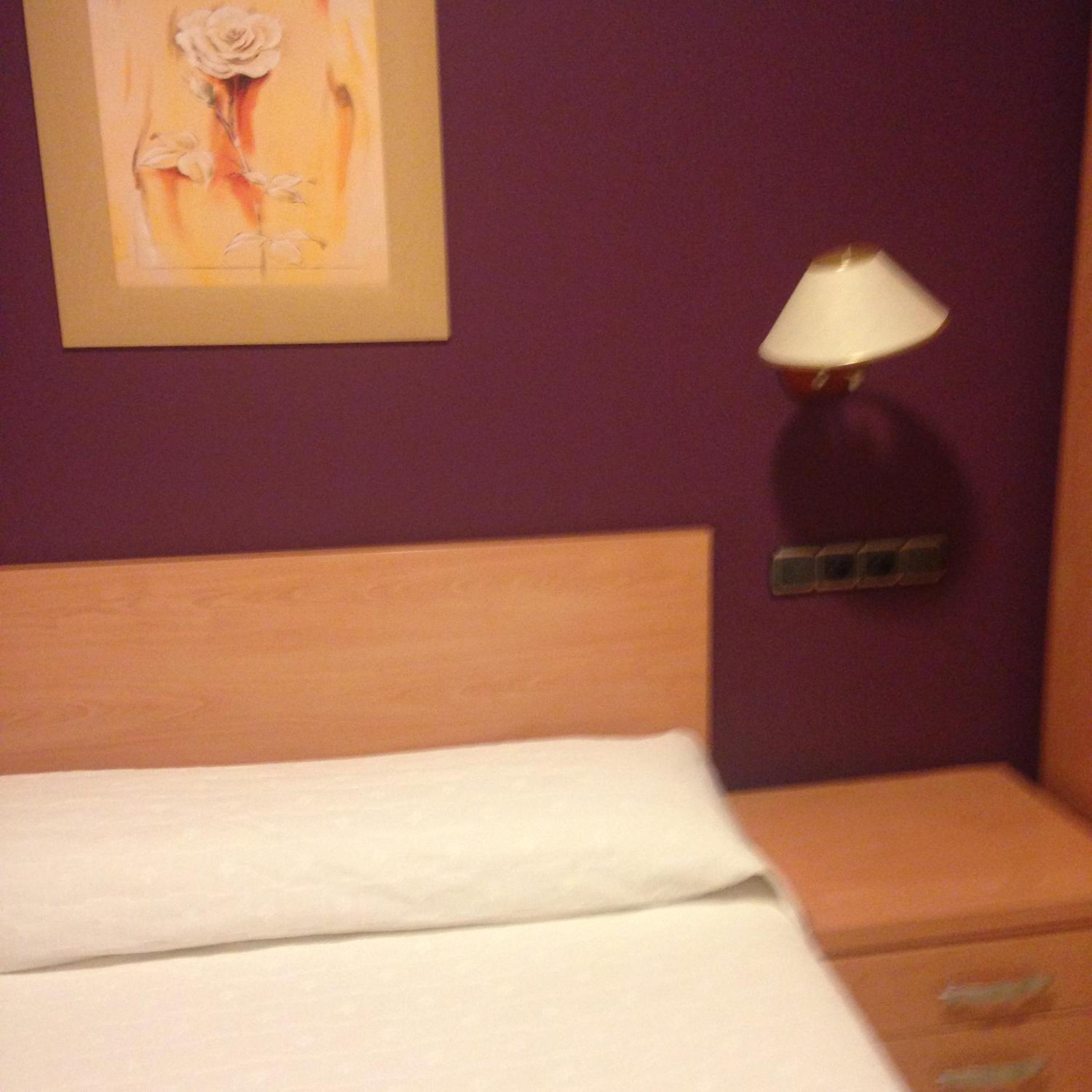 Single Room photo 3