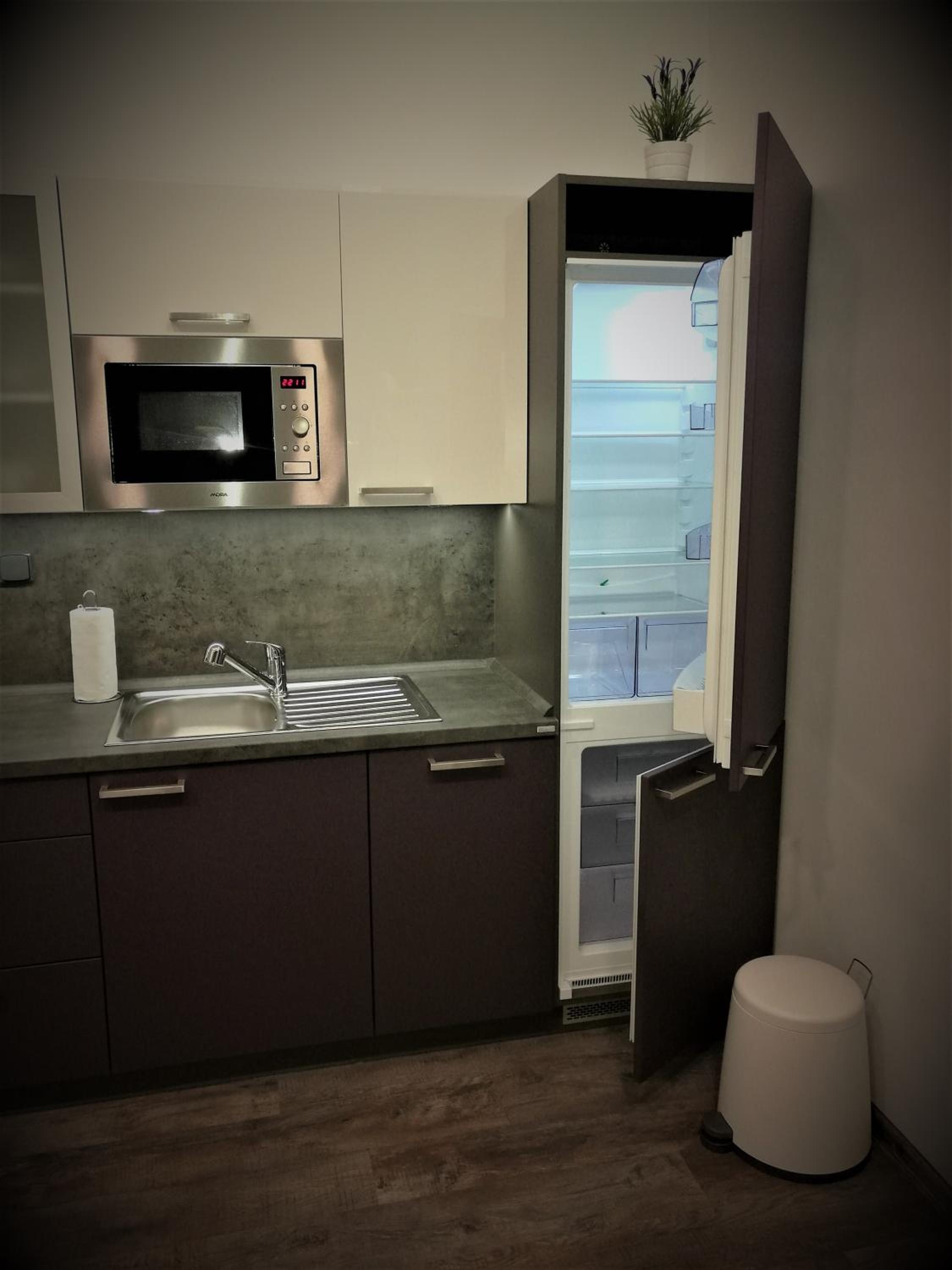 One-Bedroom Apartment (4 Adults) - Photo 8