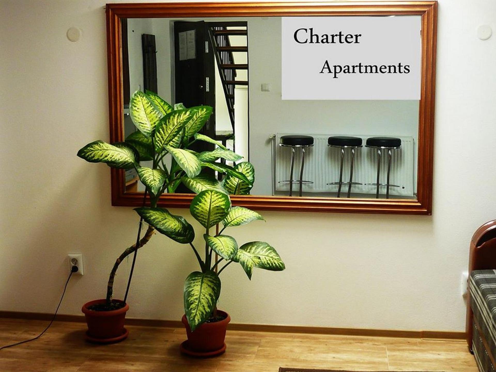Two-Bedroom Apartment with Balcony - Photo 22