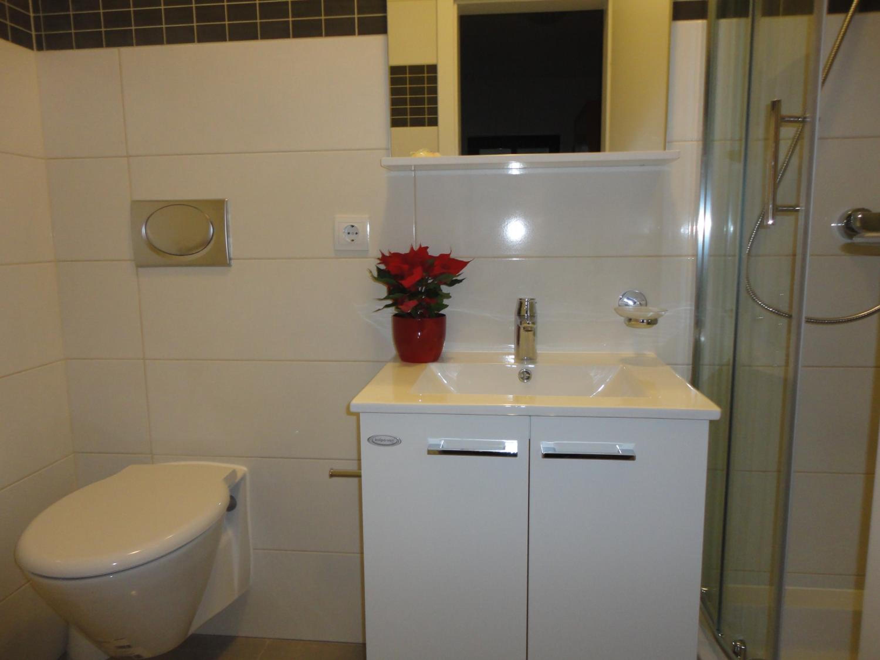 Standard Apartment photo 3
