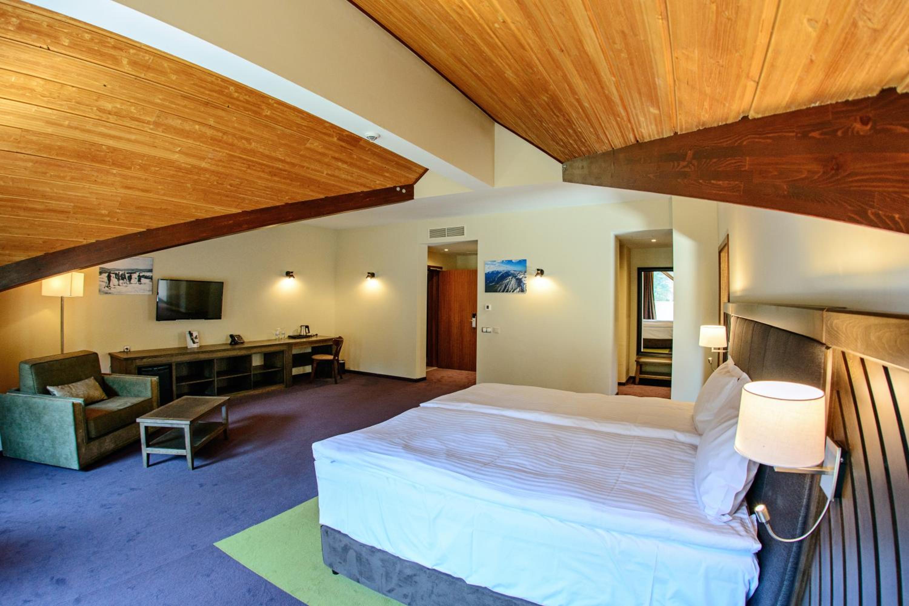Suite - Photo 3