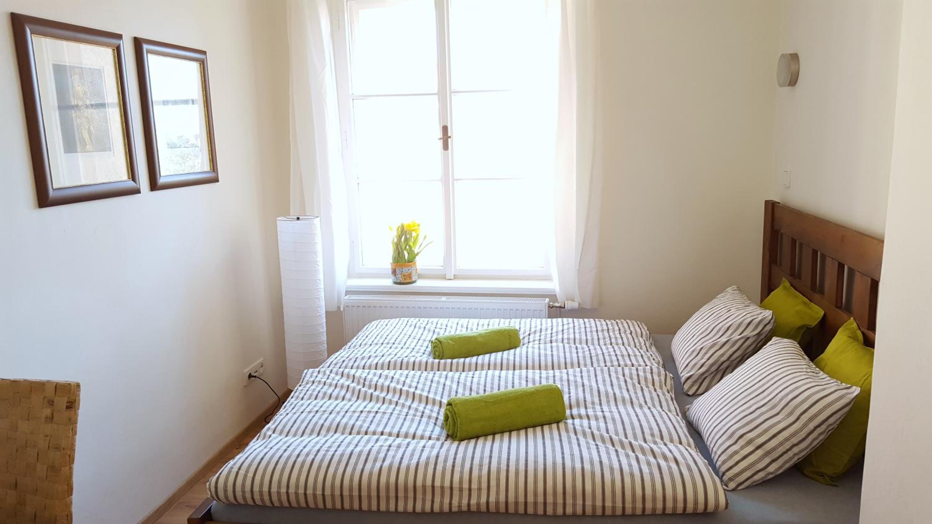 One-Bedroom Apartment photo 3