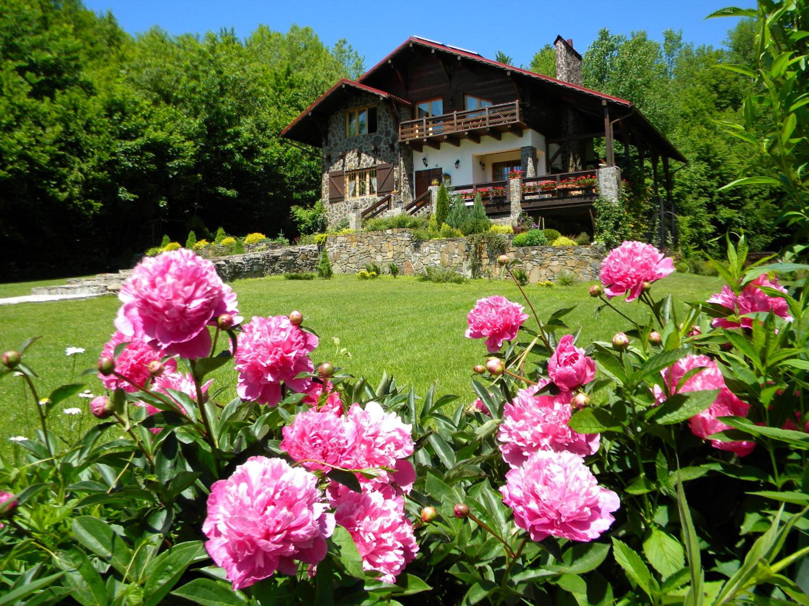 Three-Bedroom Chalet photo 3