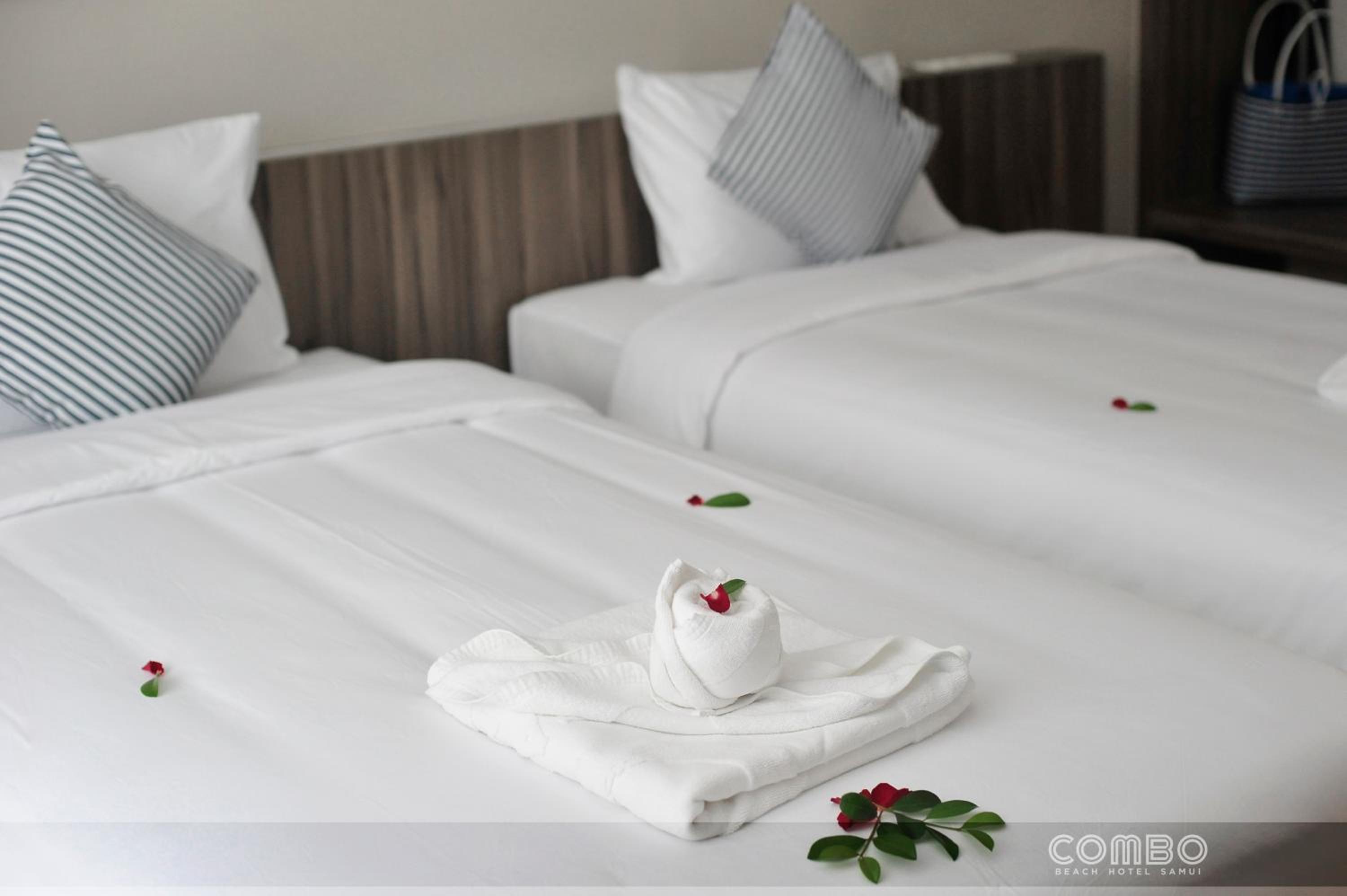 Deluxe Twin Room - Photo 6