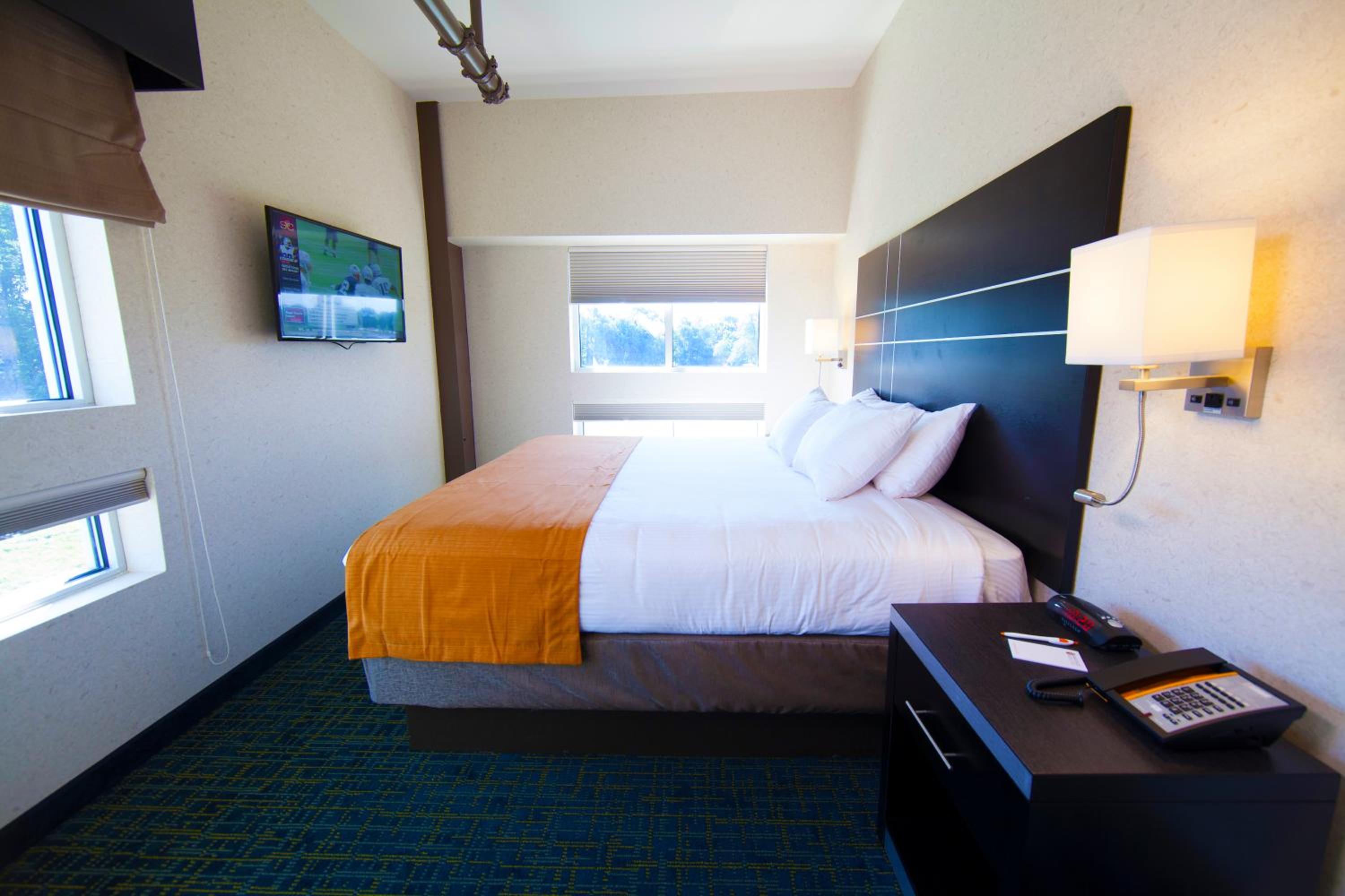 Deluxe King Suite photo 3