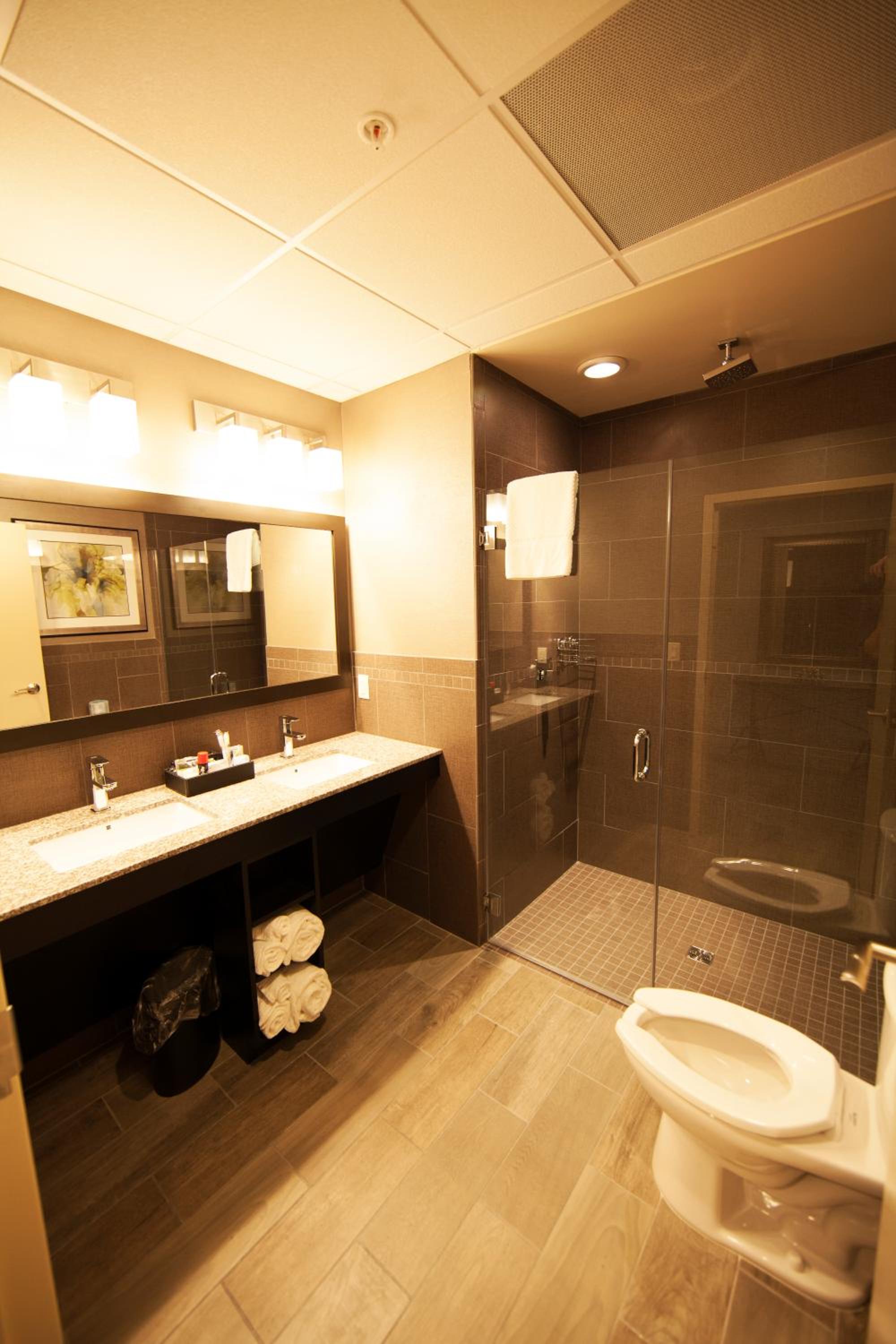 Deluxe Suite photo 2