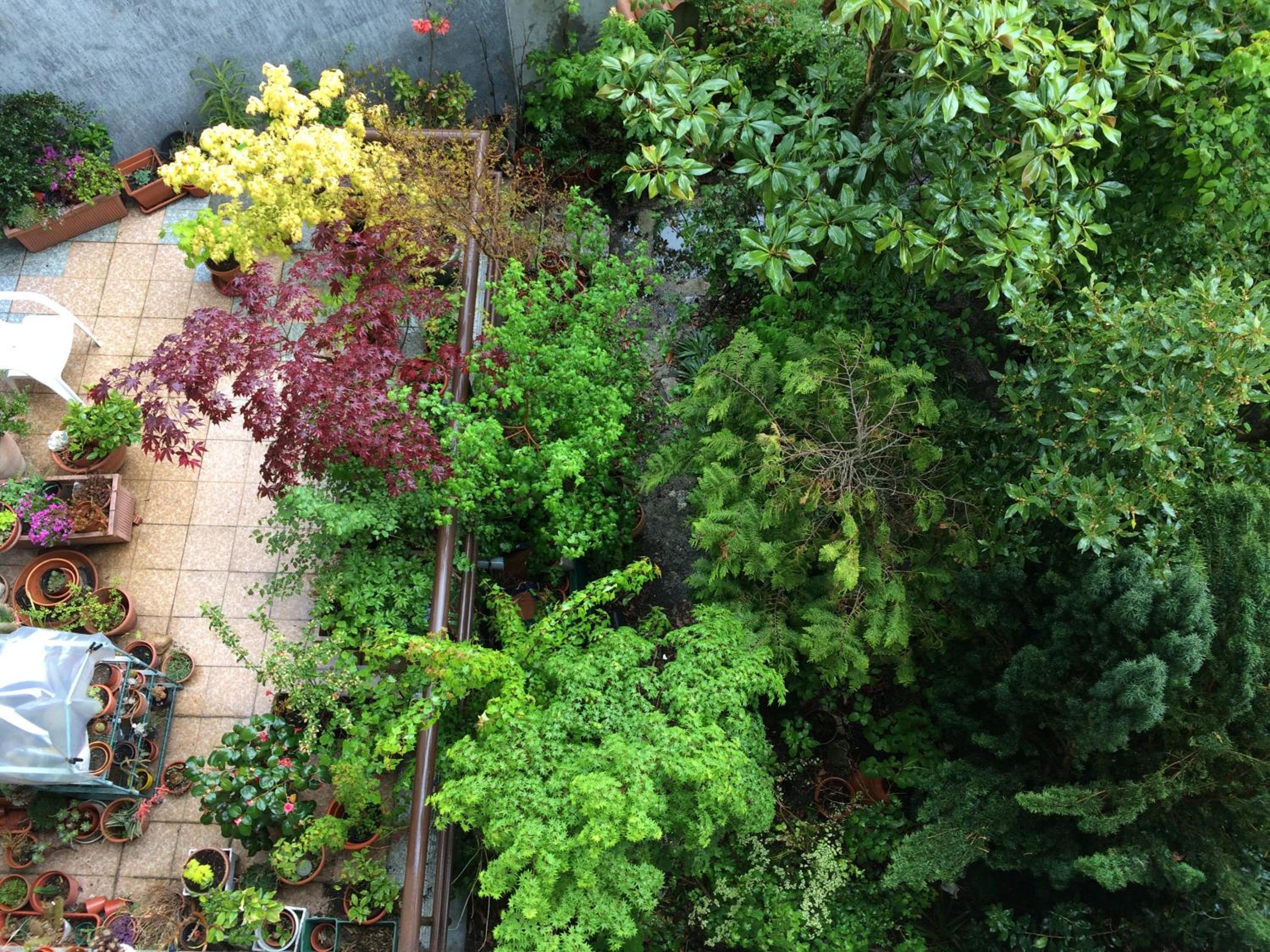 Double Room with Garden View - Photo 3