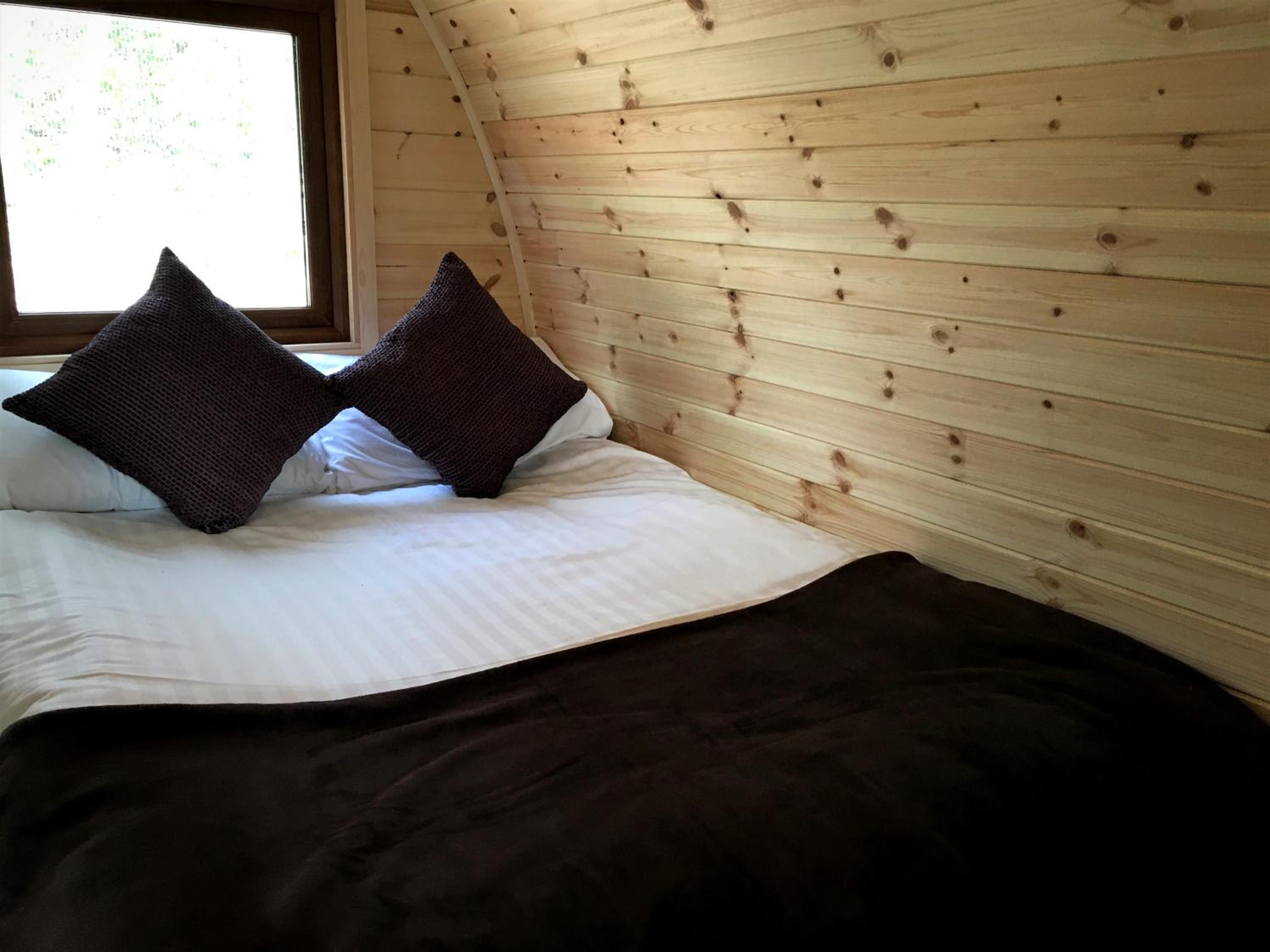 One-Bedroom Woodland Pod photo 2