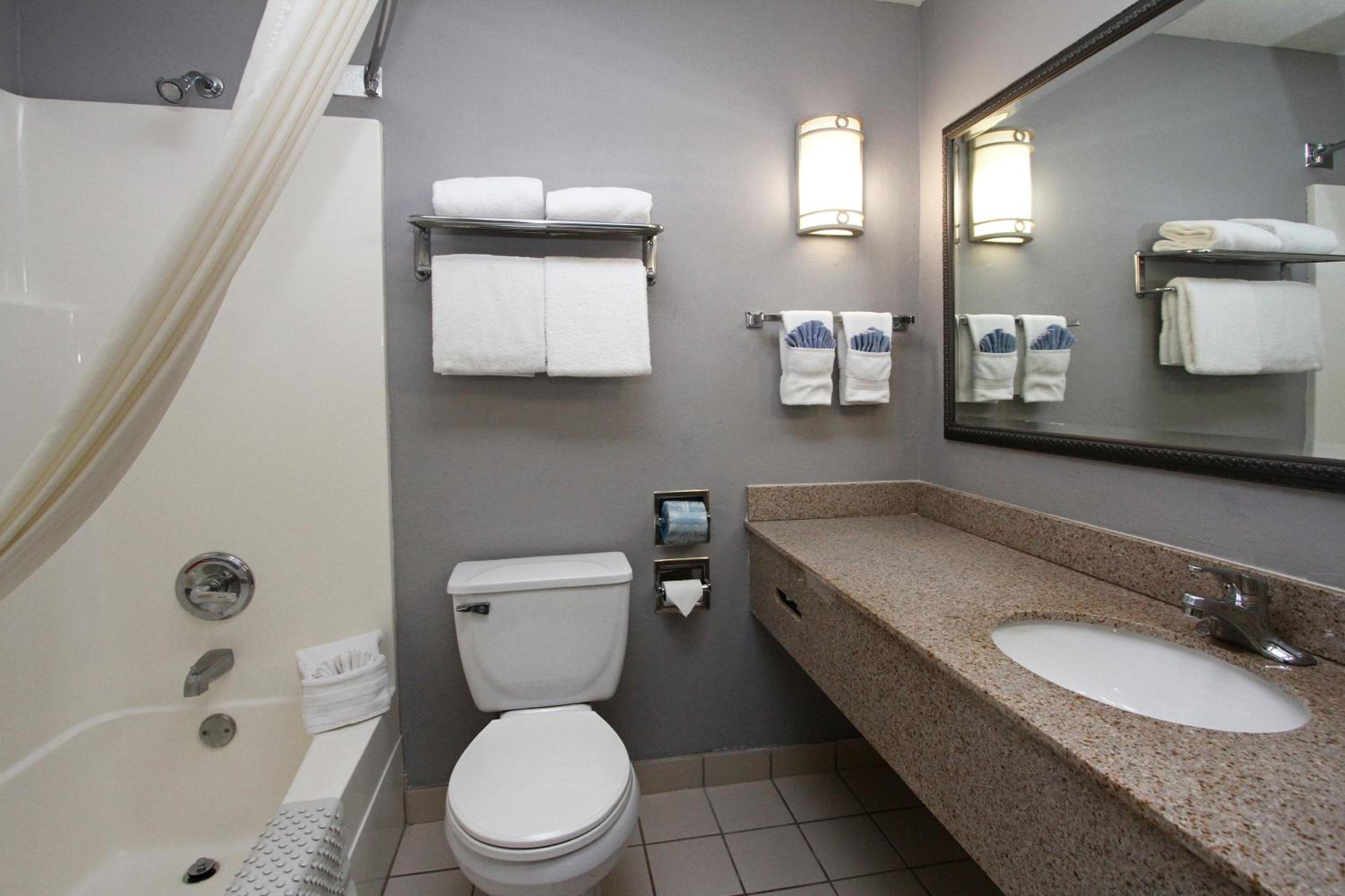 King Suite - Photo 4