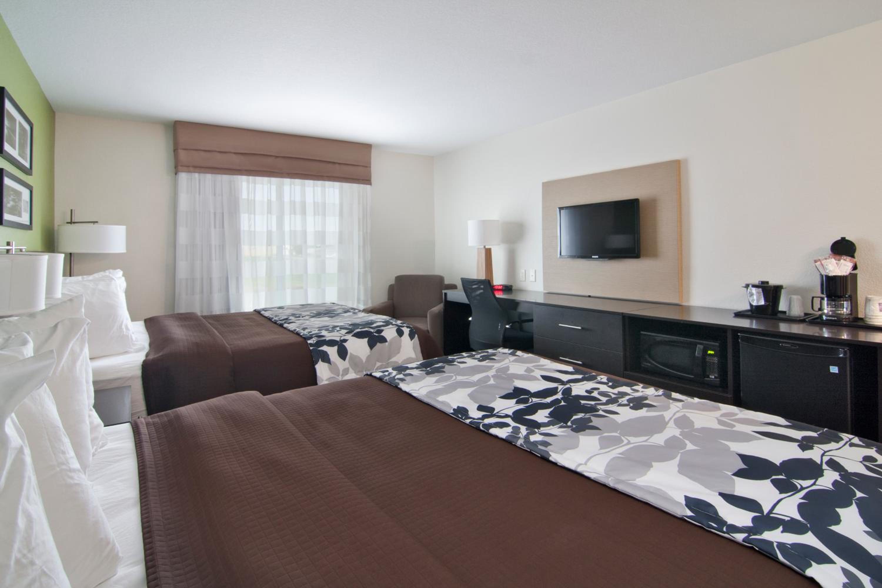 Queen Room with Two Queen Beds - Non-Smoking photo 2