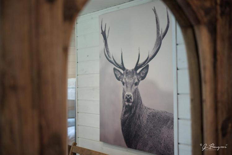 Three-Bedroom Chalet photo 1