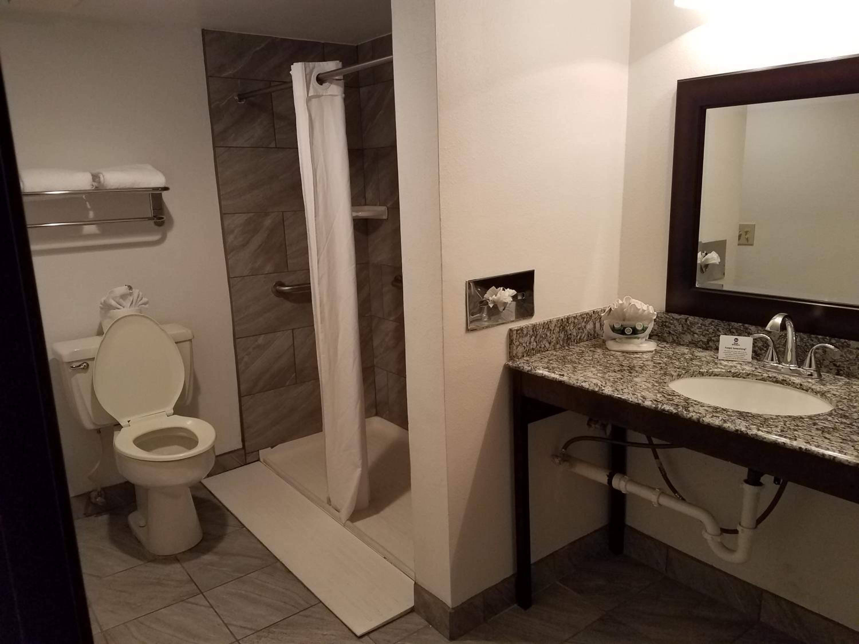 King Suite with Sofa Bed and Walk-In Shower - Disability Access/Non-Smoking - Photo 7