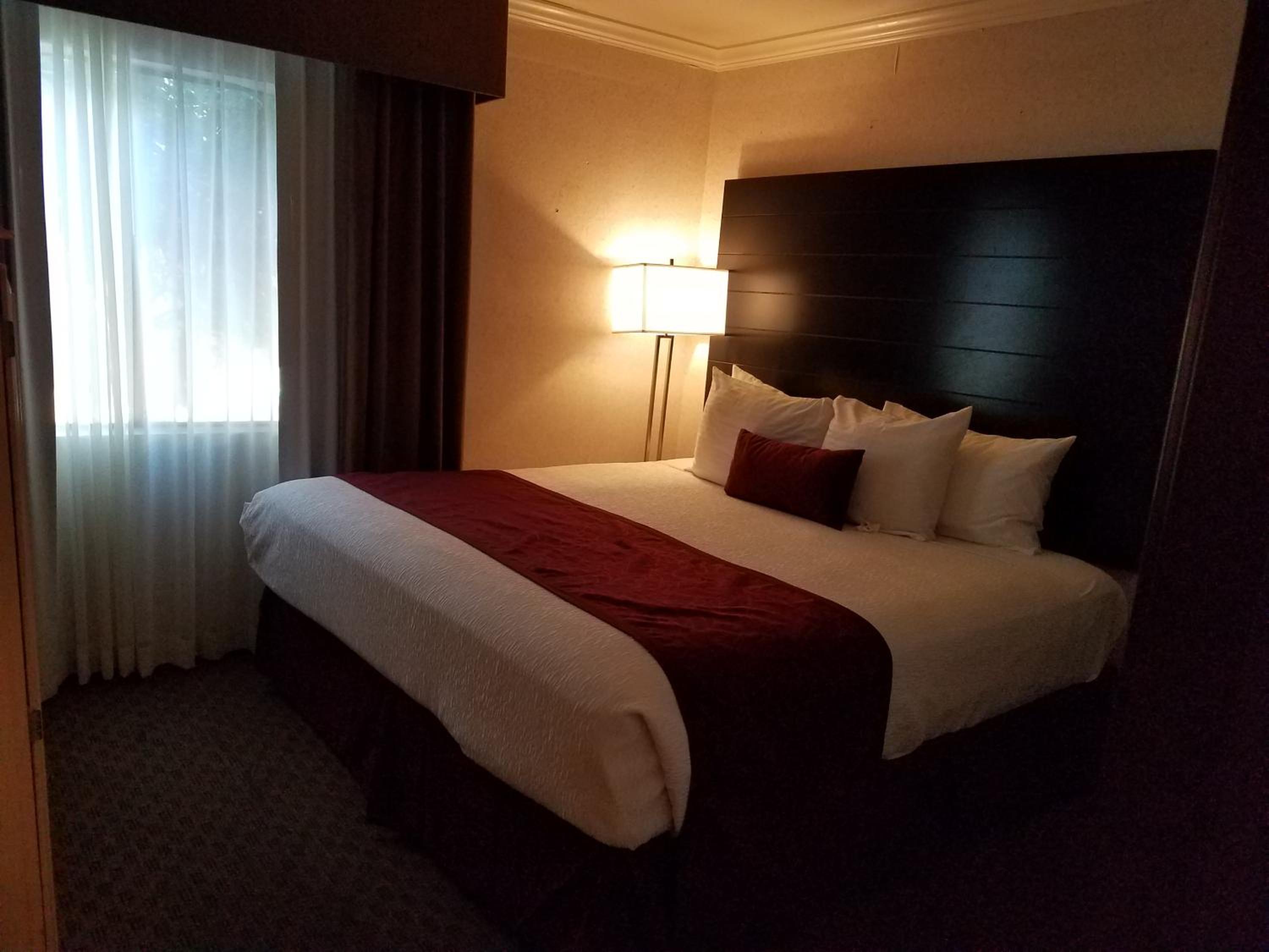 King Suite with Sofa Bed and Walk-In Shower - Disability Access/Non-Smoking - Photo 2