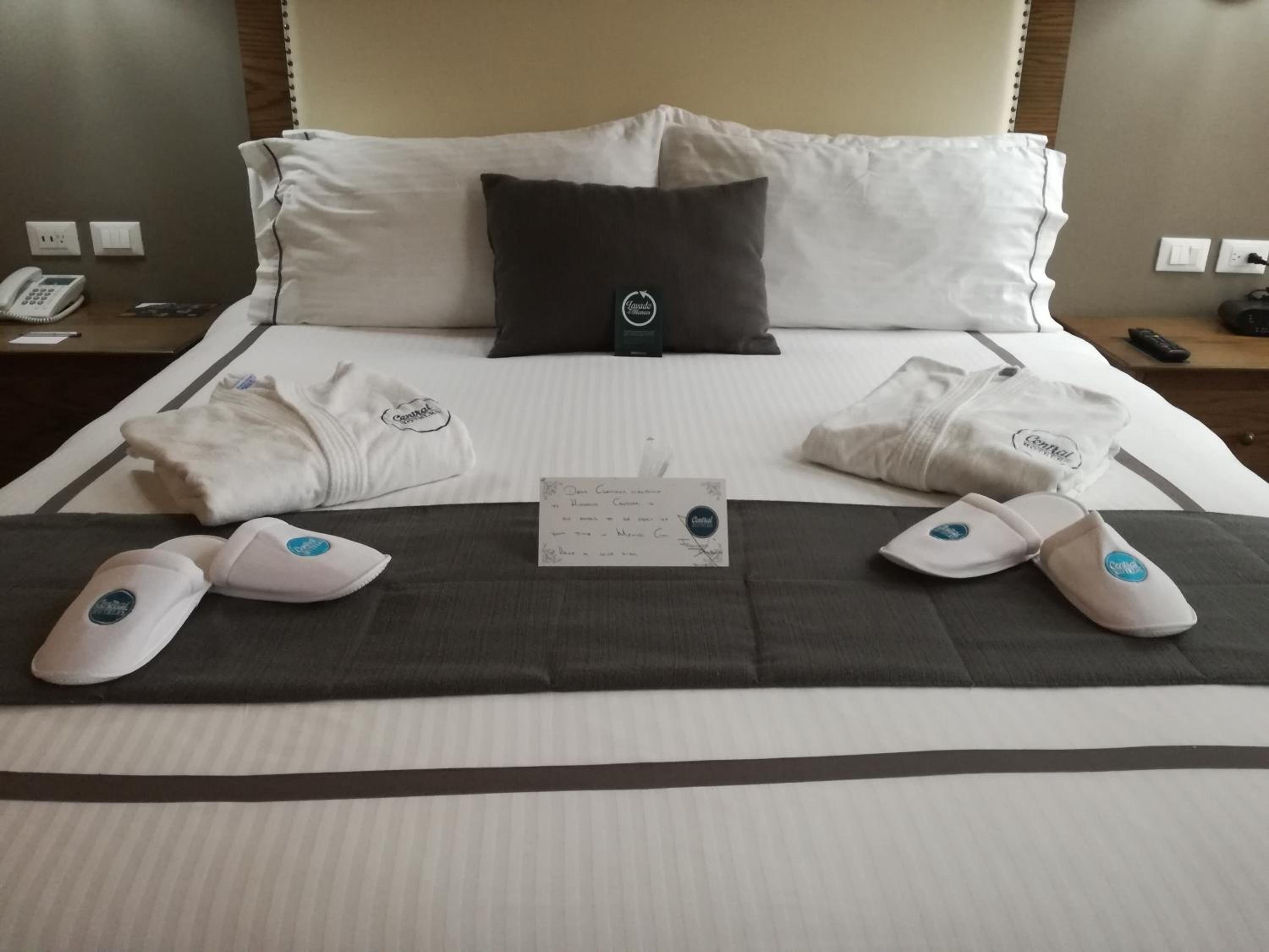 Junior Suite With Terrace