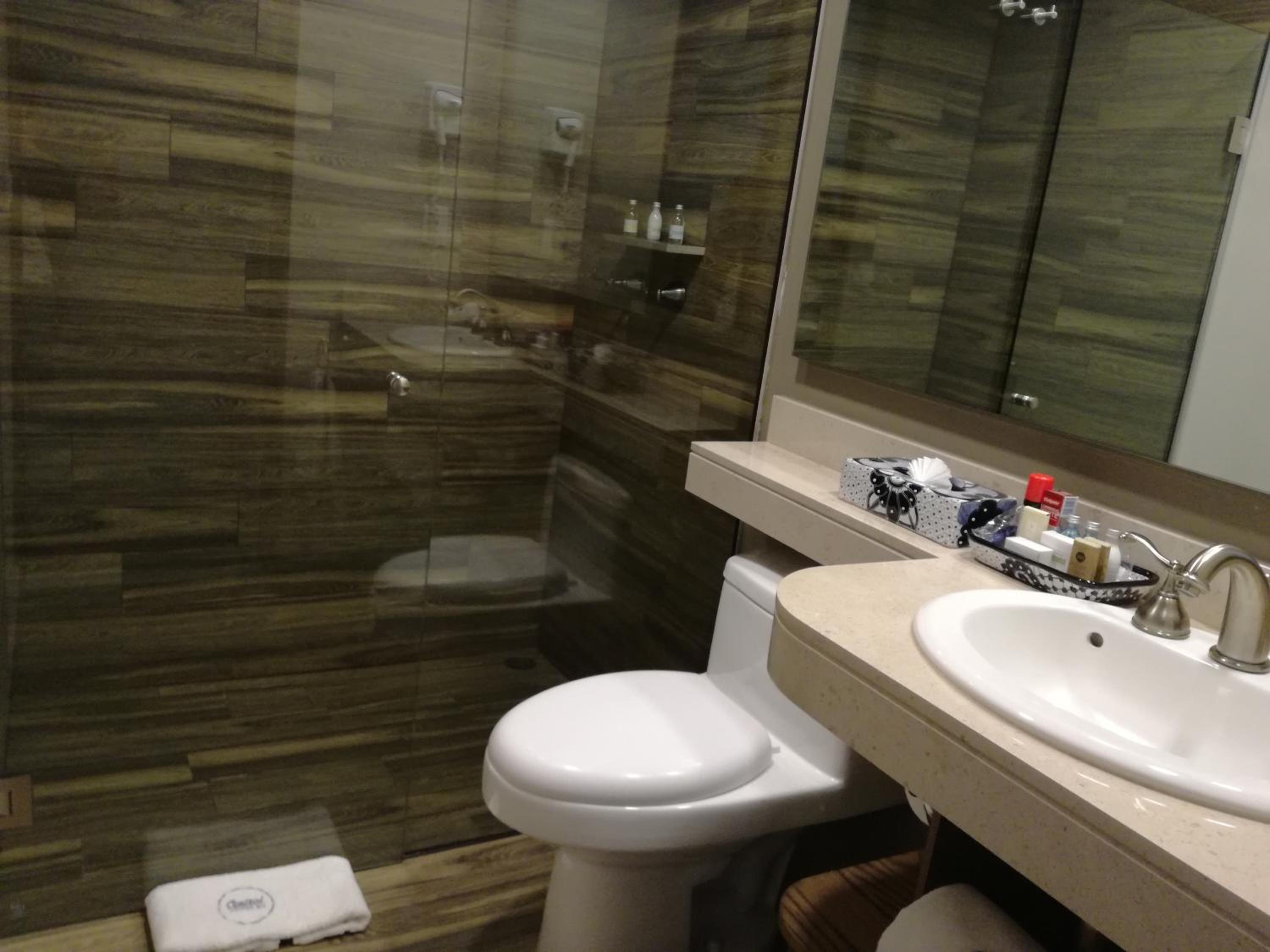 Junior Suite With Terrace