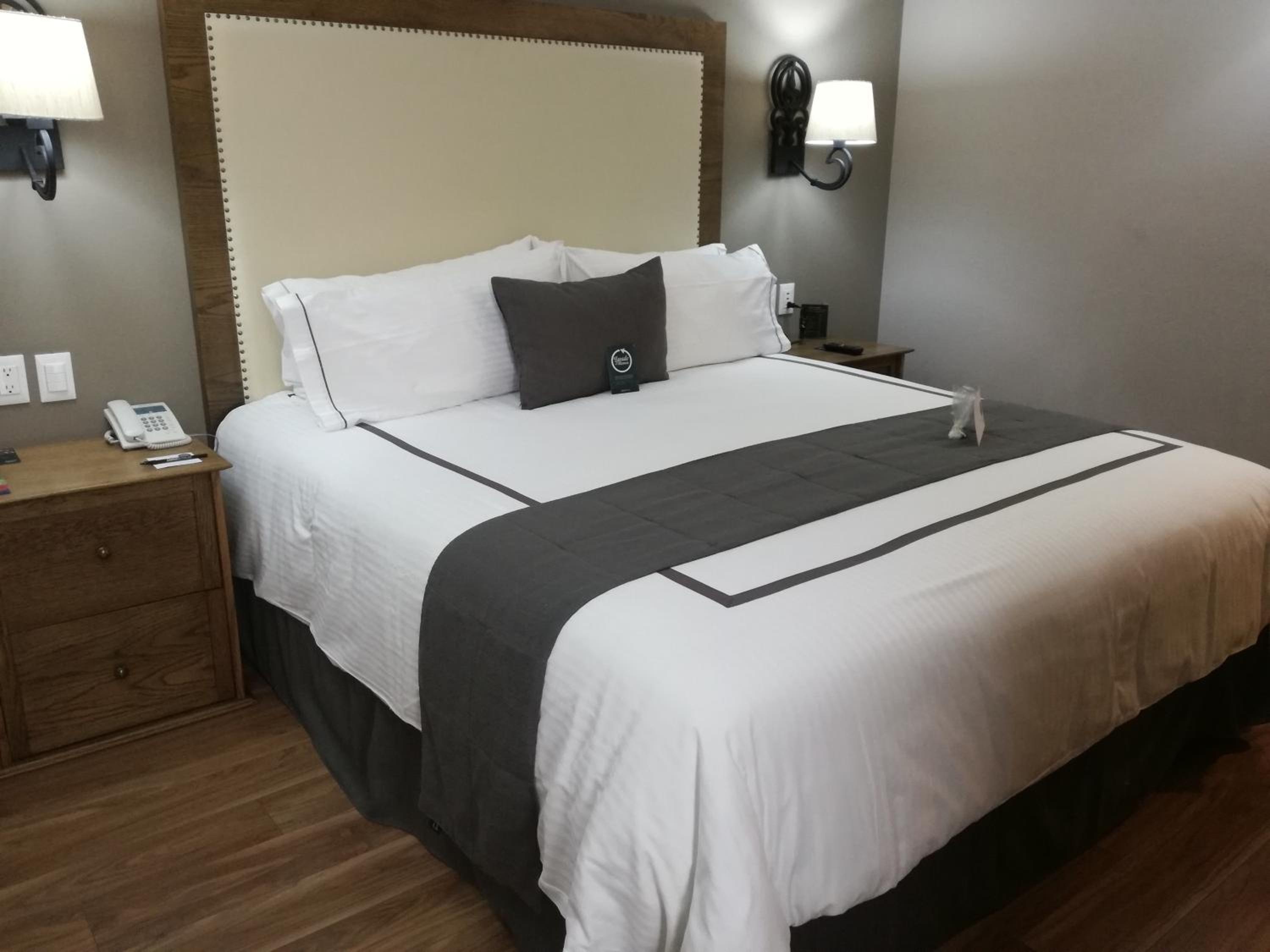 Junior Suite with Terrace
