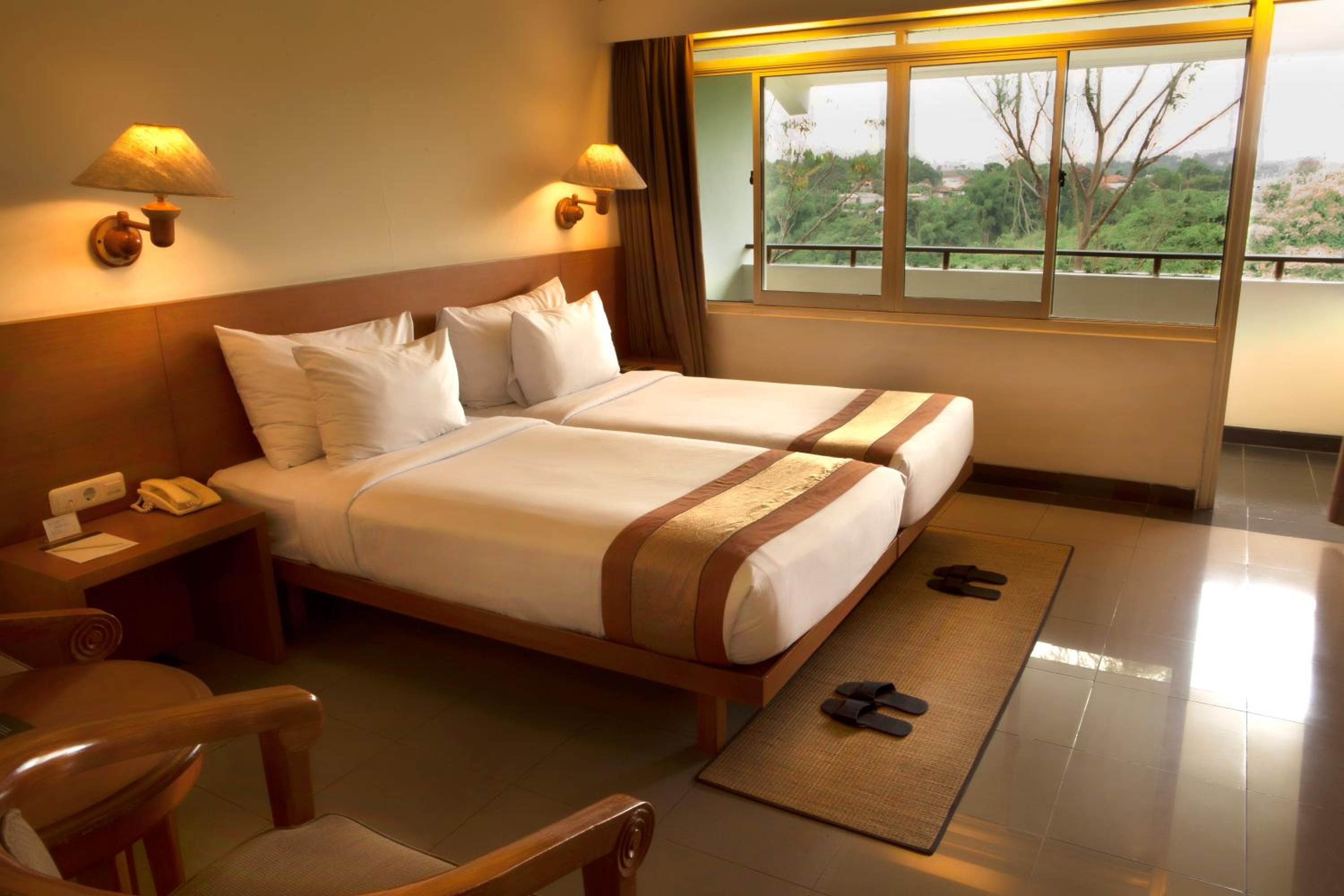Deluxe Double or Twin Room with no AC photo 3