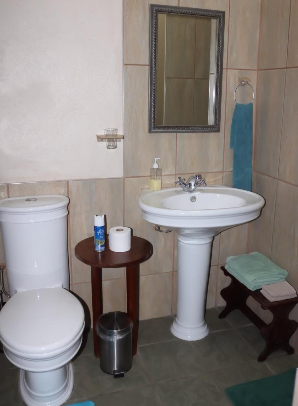 Large Twin Room photo 2
