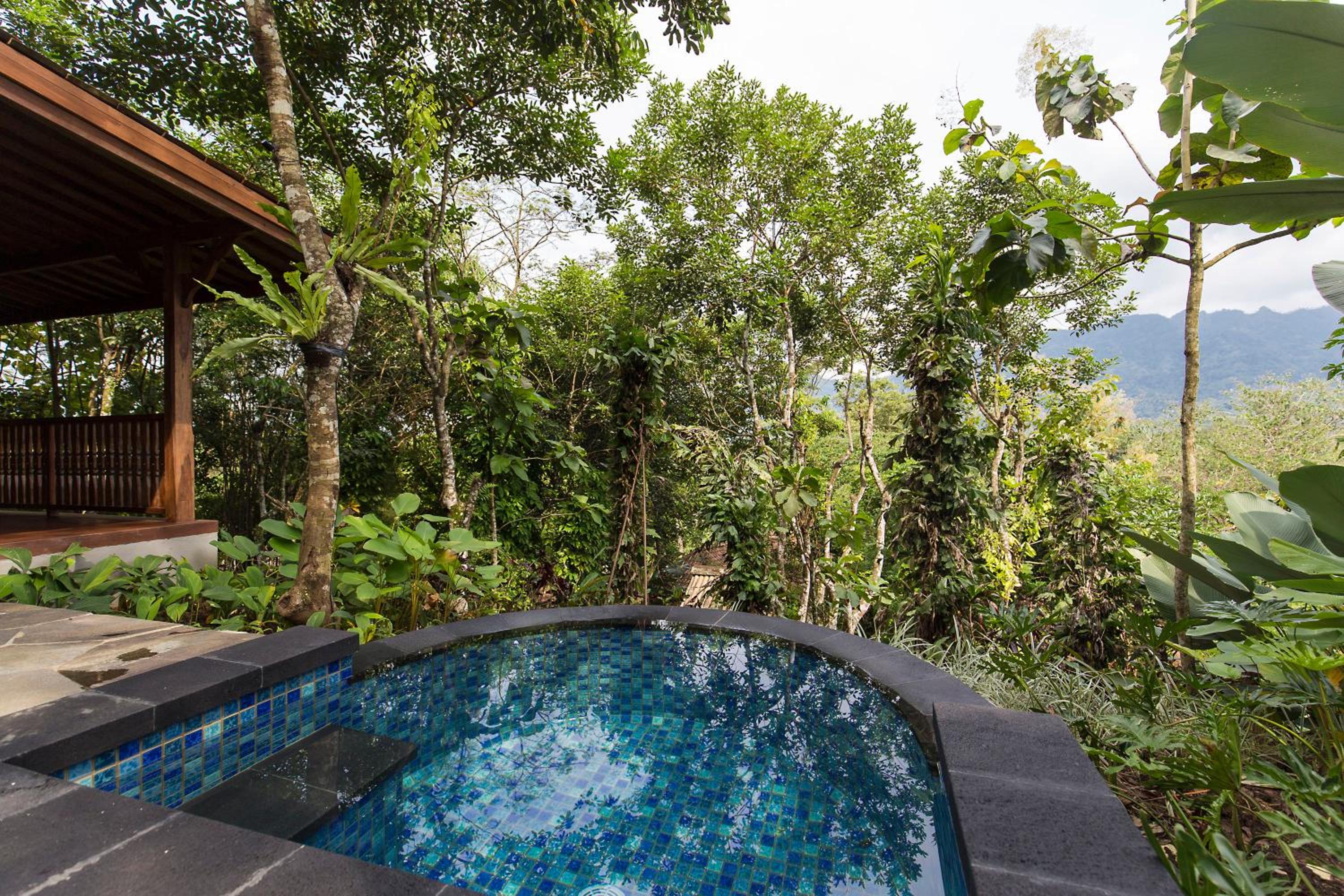 Garden Plunge Pool Villa - Photo 4