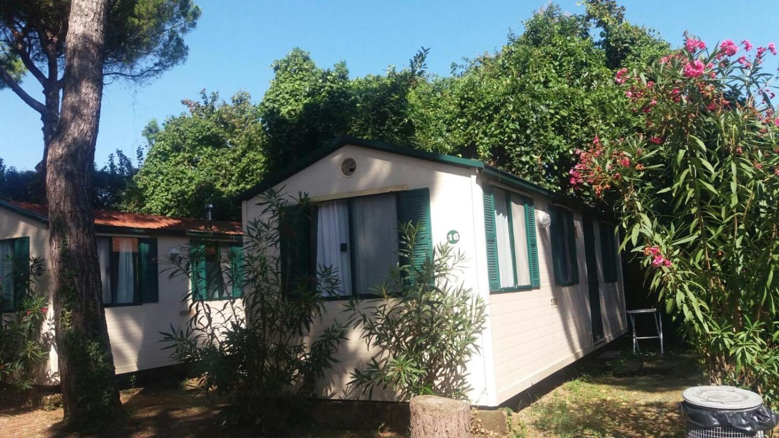 Mobile Home - Photo 3