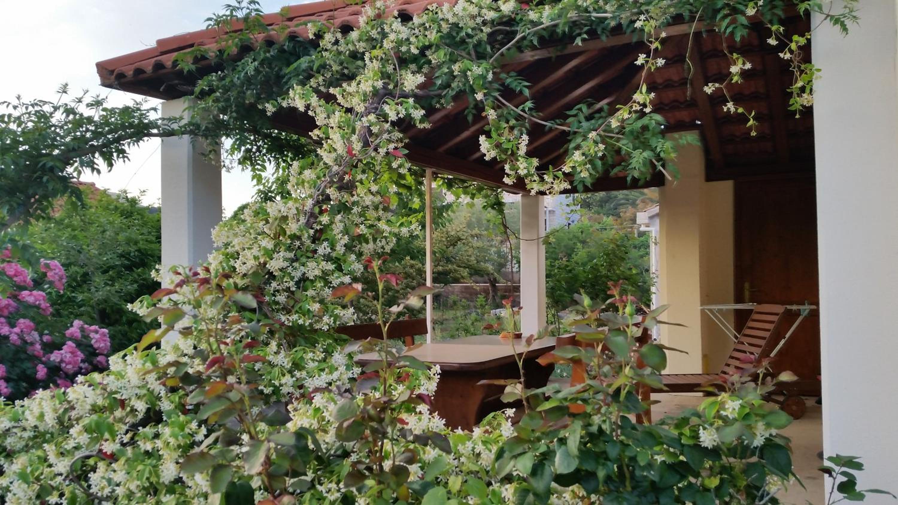 Apartment with Garden View - Photo 19