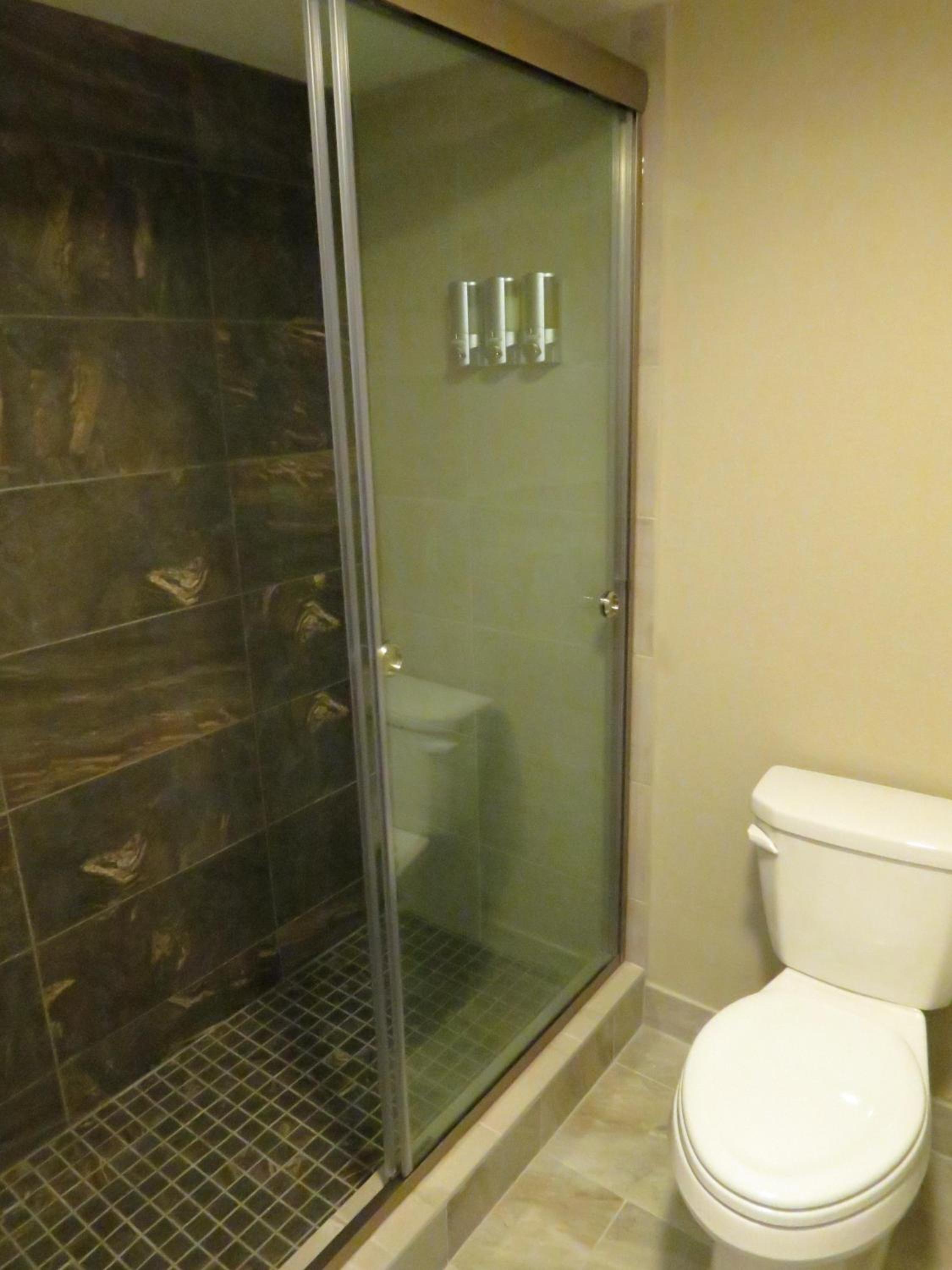 Deluxe Junior Suite photo 2