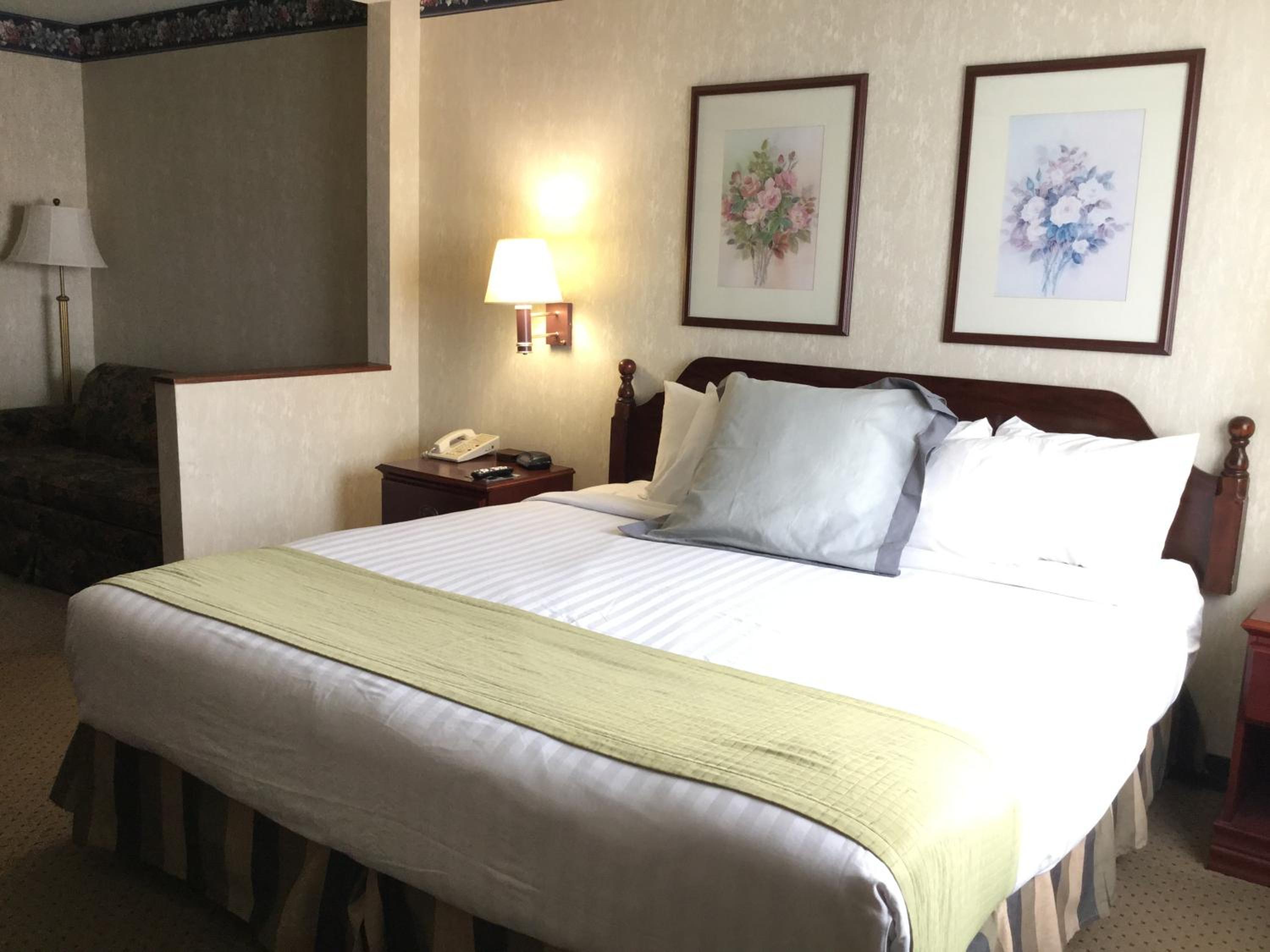 Deluxe King Room - Non-Smoking - Photo 1