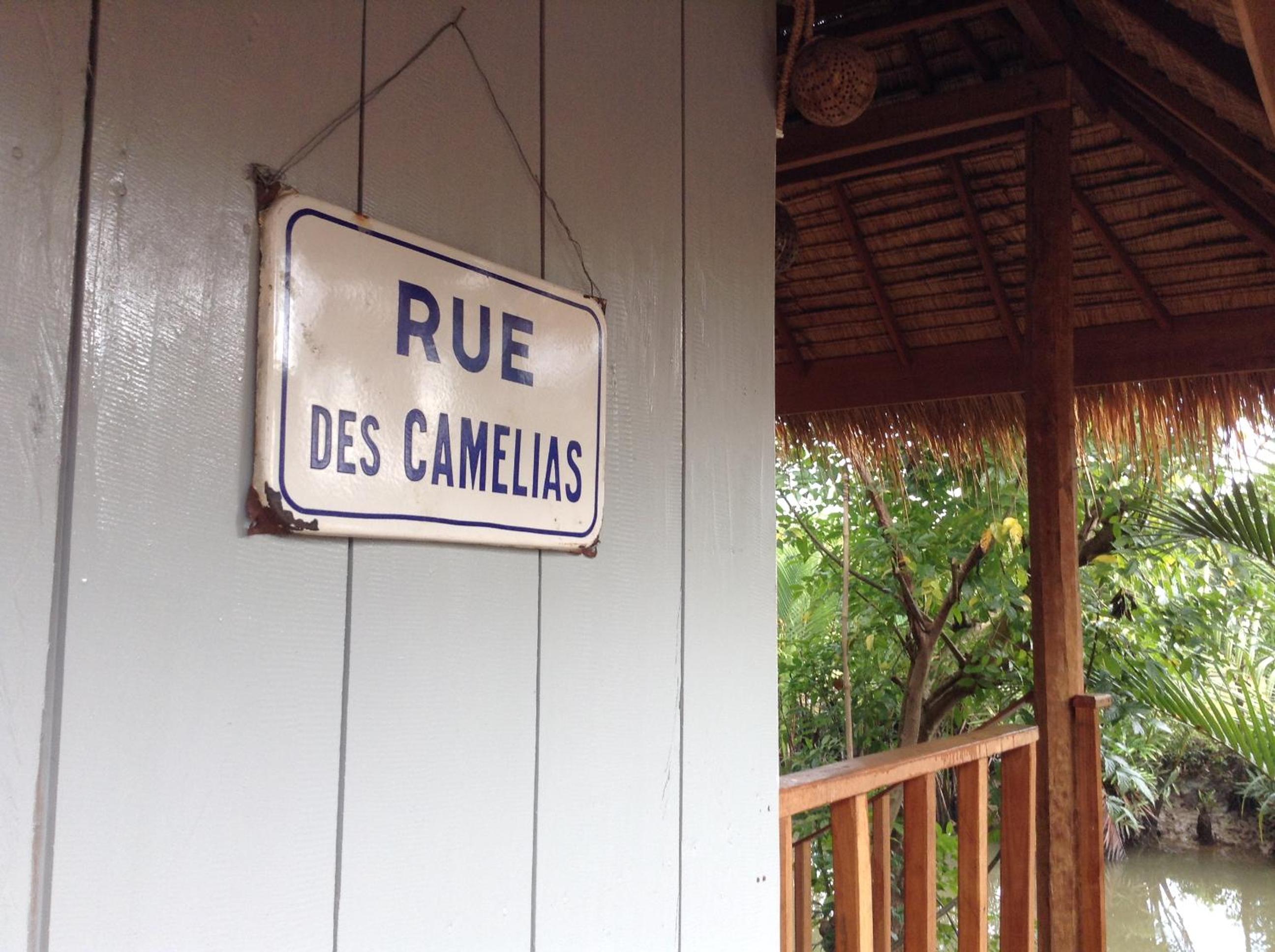 Bungalow - Water Front  - Photo 20