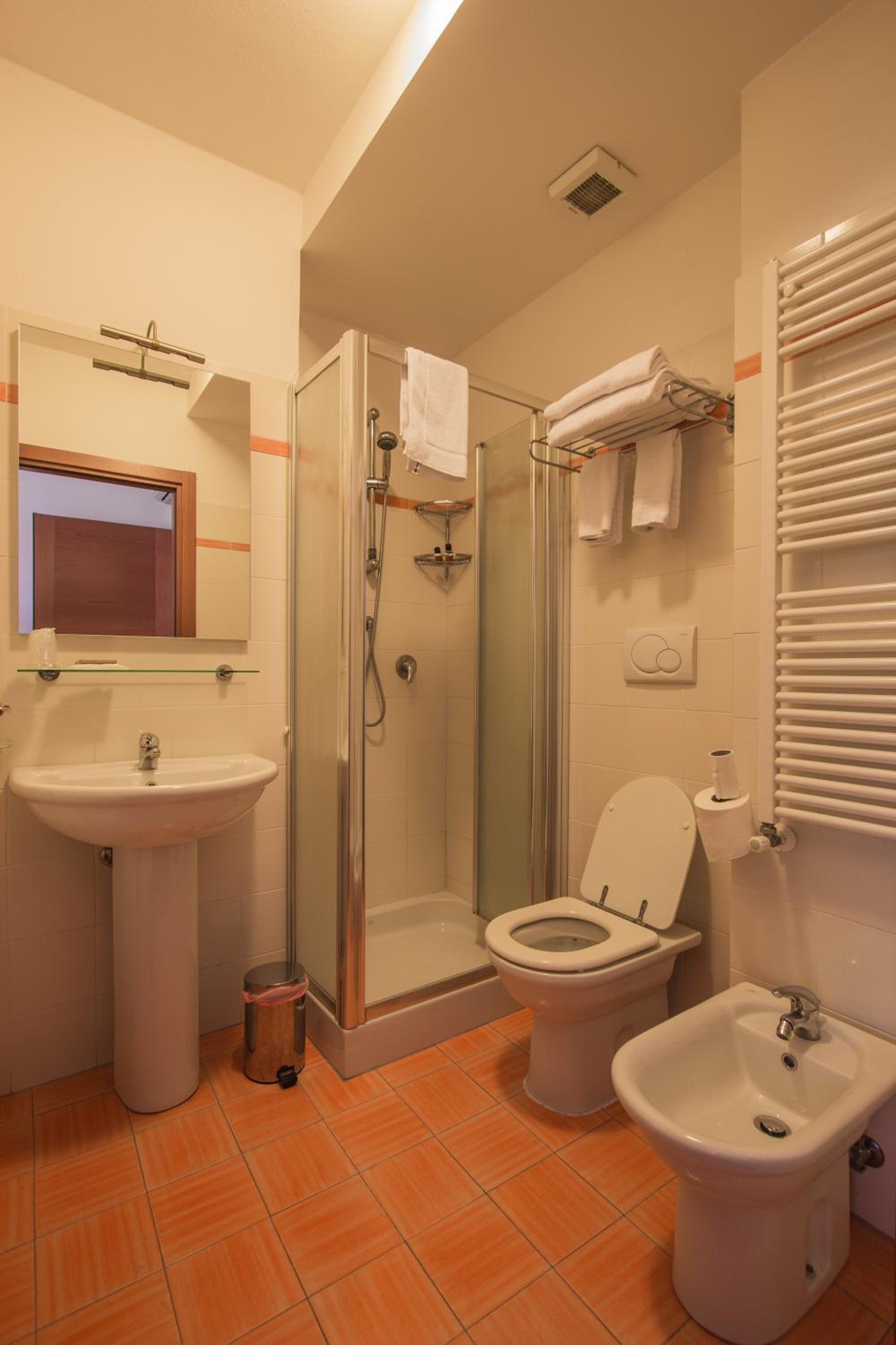 Deluxe Double or Twin Room photo 3