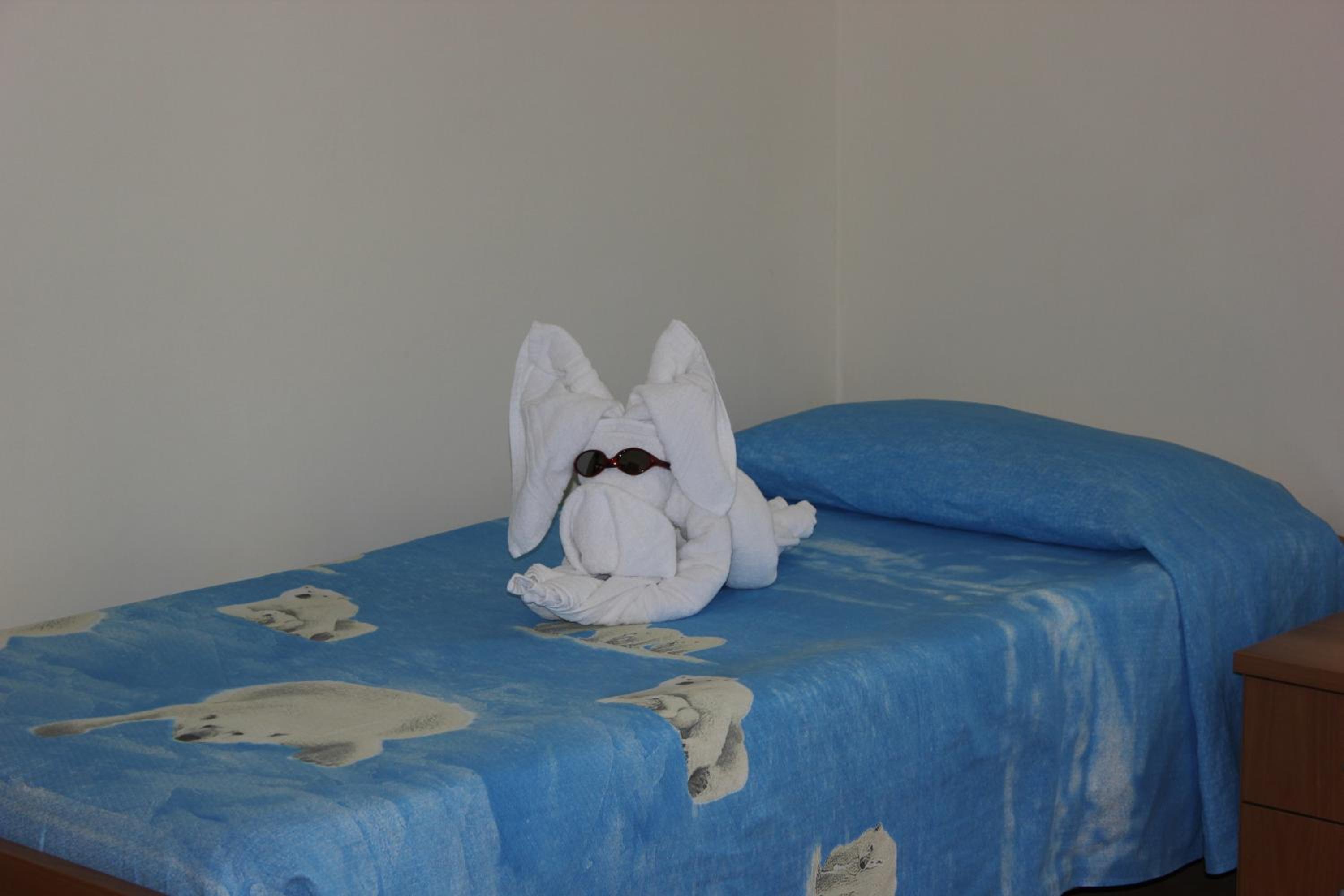 Single Room photo 3