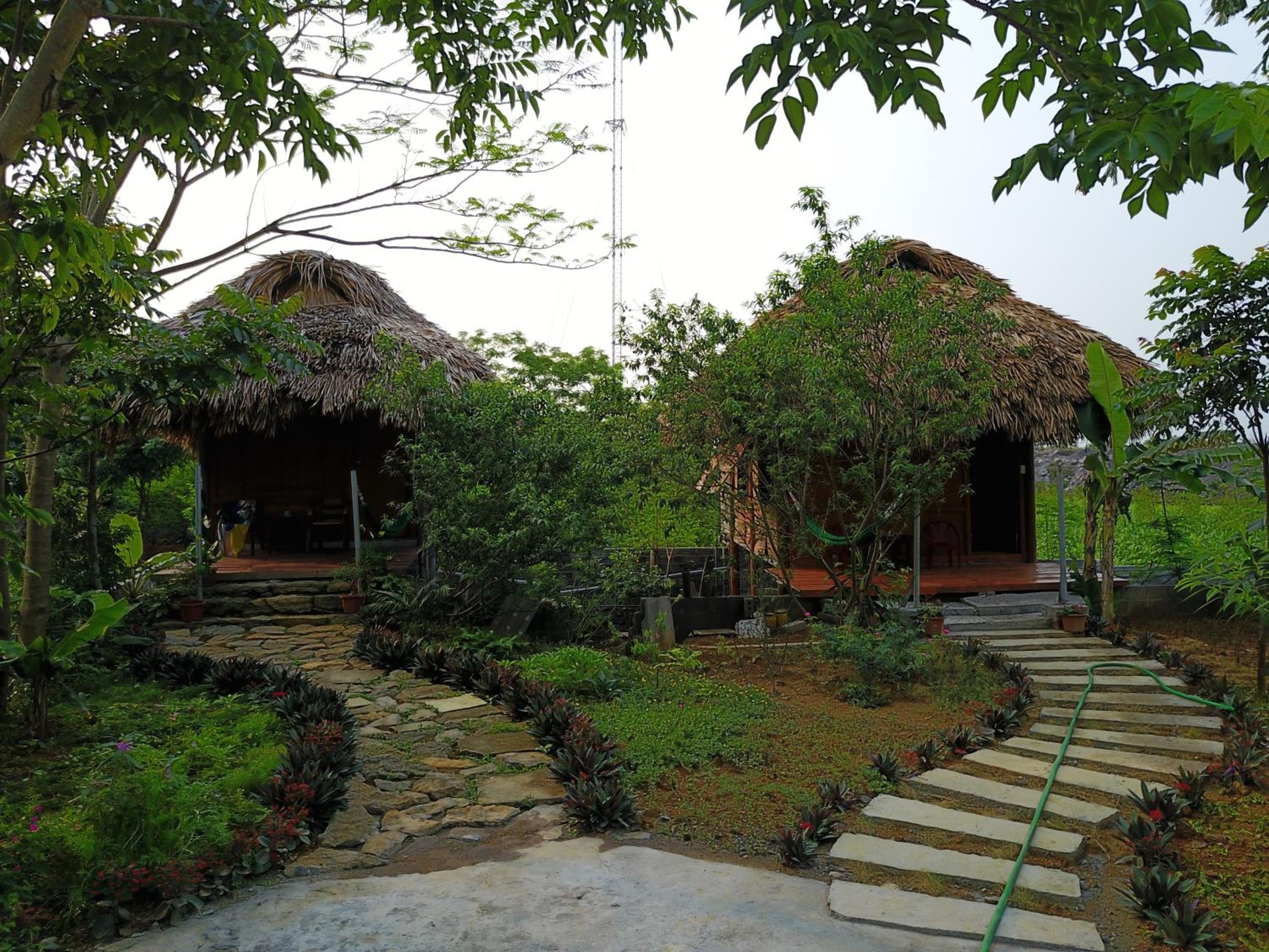 Standard Bungalow photo 2