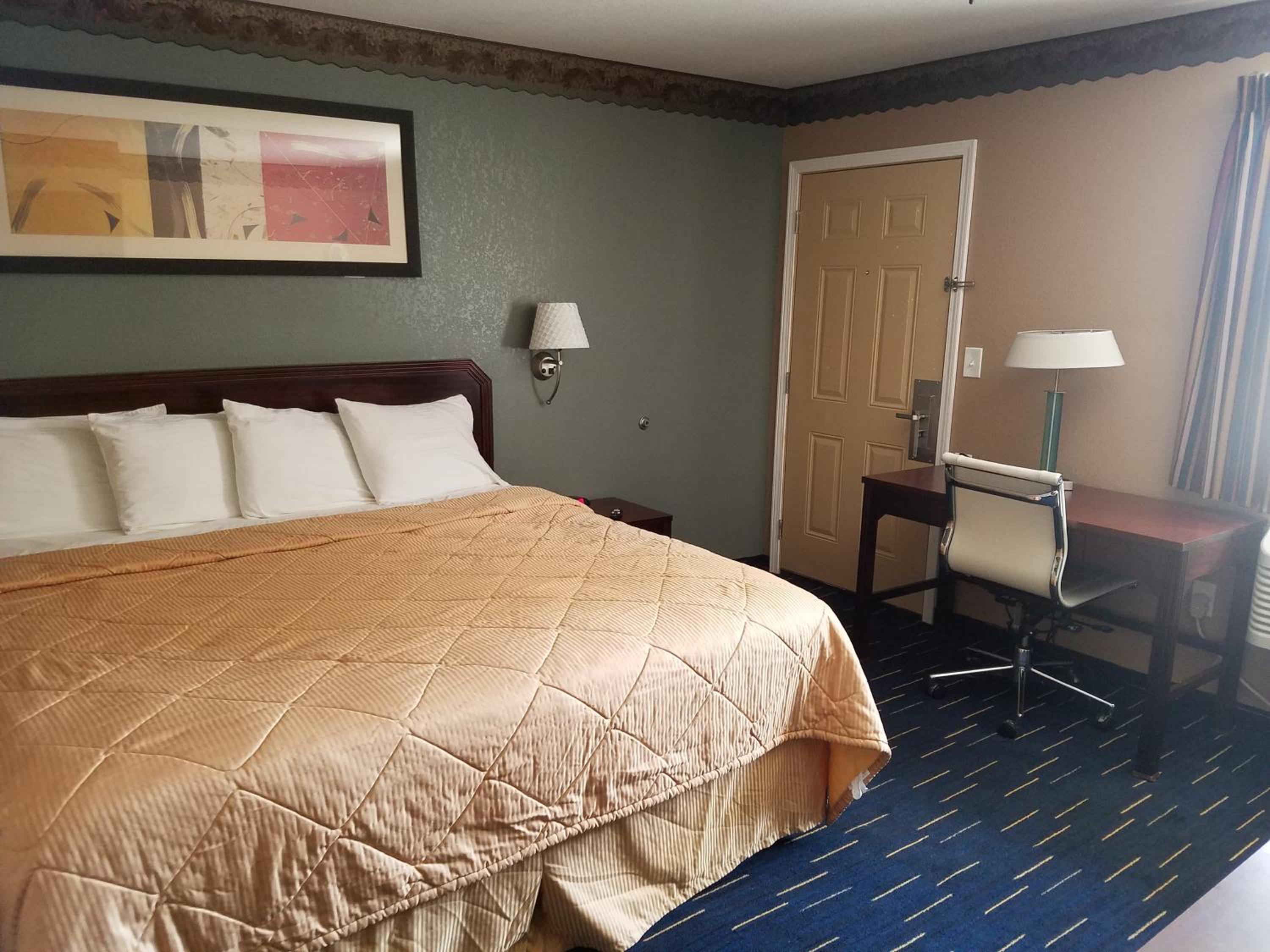 King Room - Disability Access photo 3