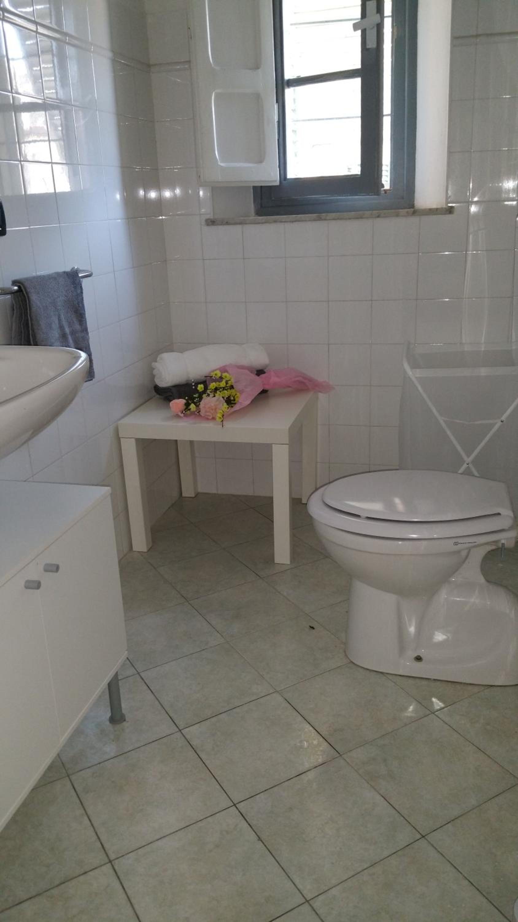 Apartment - Photo 11