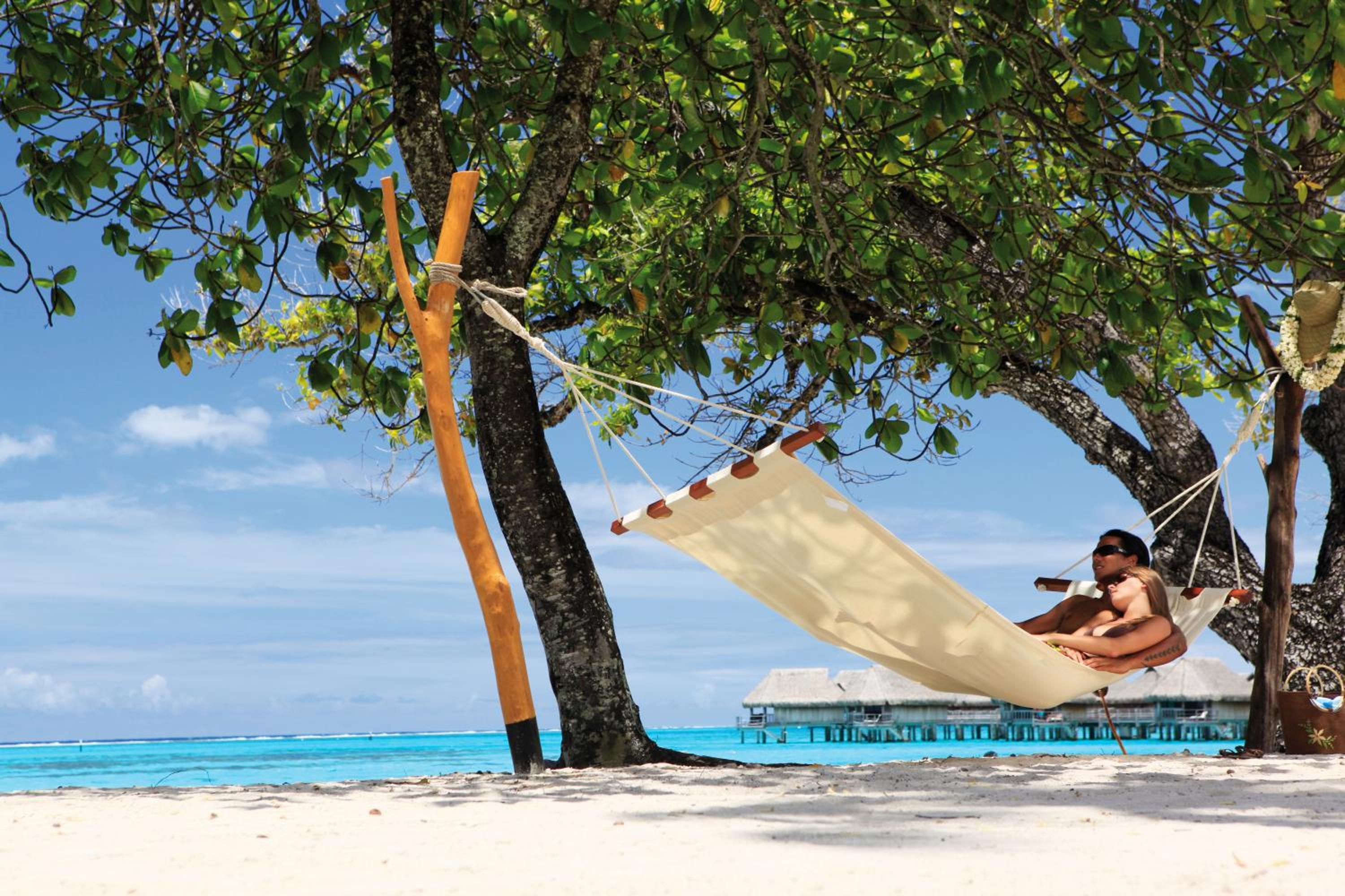 Luxury Villa with Beach Access photo 3