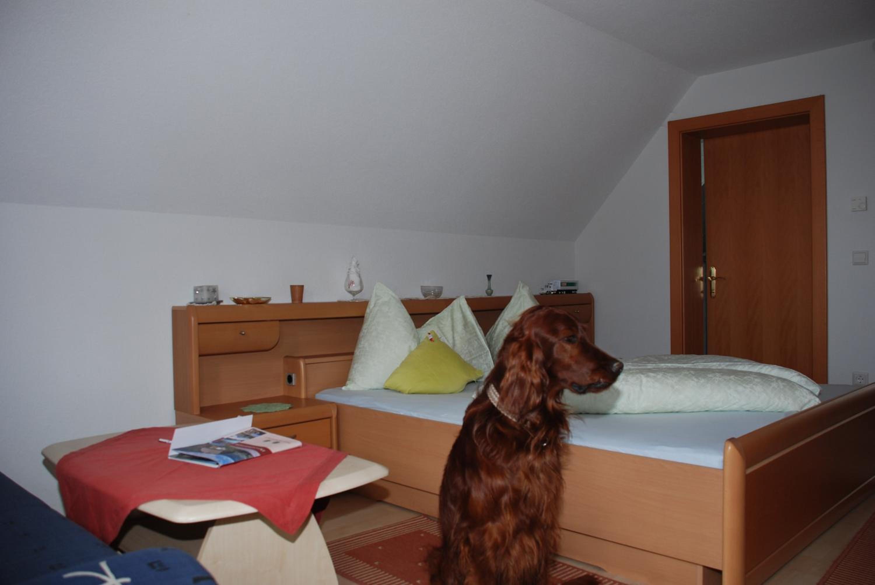 Apartment - Split Level photo 1